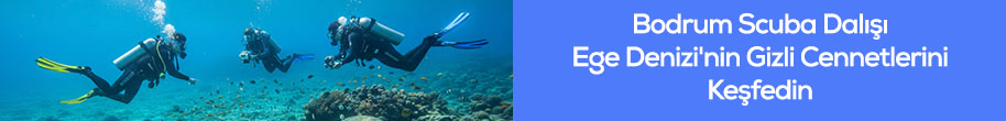 Bodrum Scuba Dalışı Ege Denizi'nin Gizli Cennetlerini Keşfedin