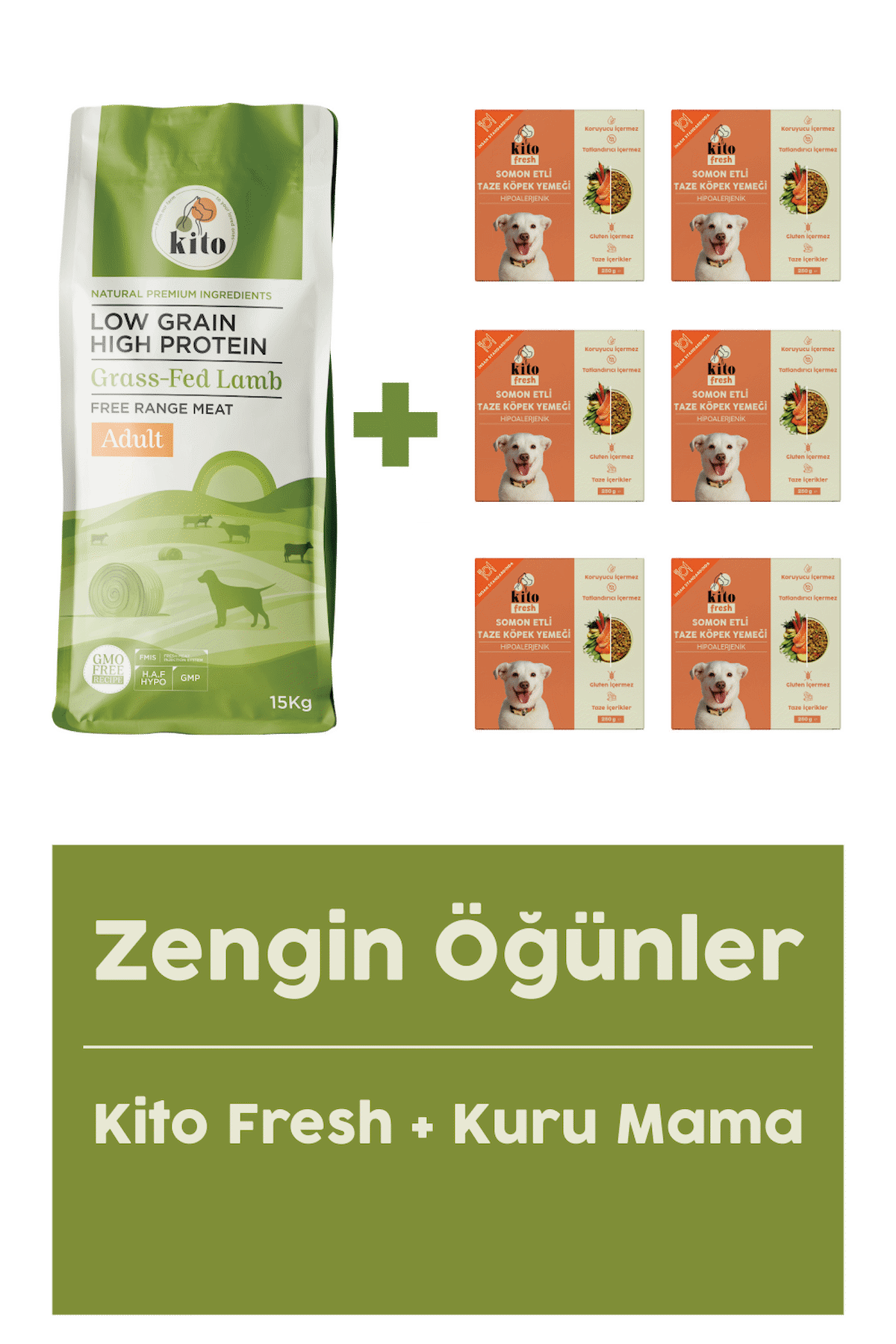 Yetişkin Köpek Maması 15 Kg + Balık Etli Fresh (somon) X 6