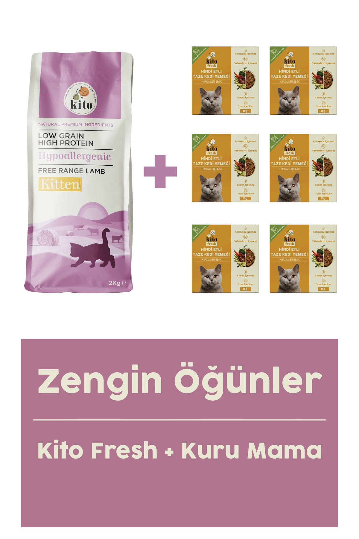 Yavru Kedi Maması 2 Kg + Fresh Hindi Etli Taze Köpek Yemeği X 6