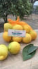 product-packaging-img