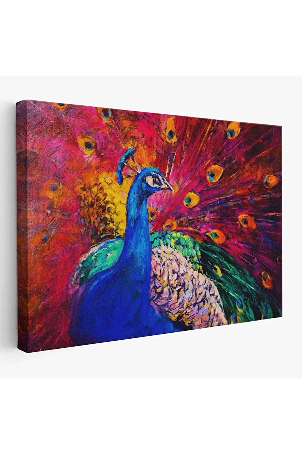 Çok Renkli Tavus Kuşu Modern Sanat Kanvas Duvar Tablosu-1112