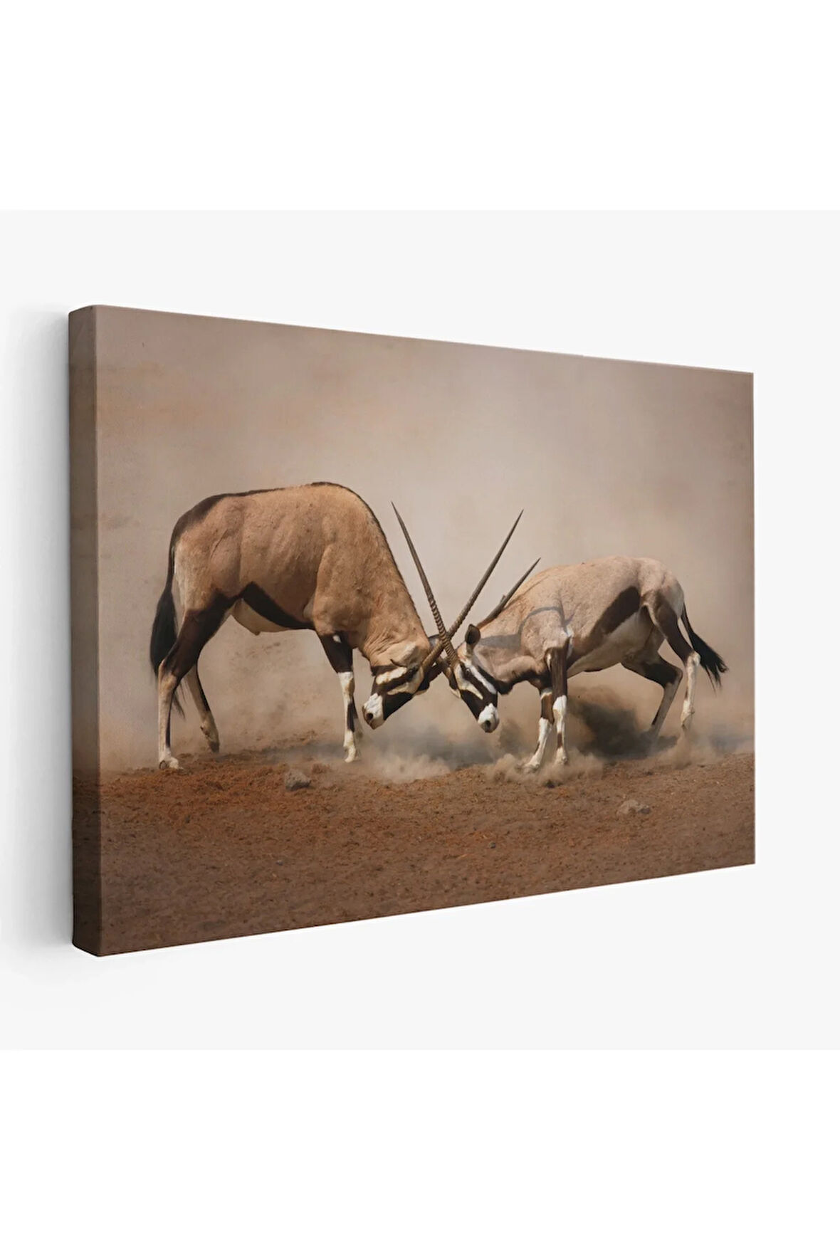 Antilob Dekoratif Kanvas Tablo-1117