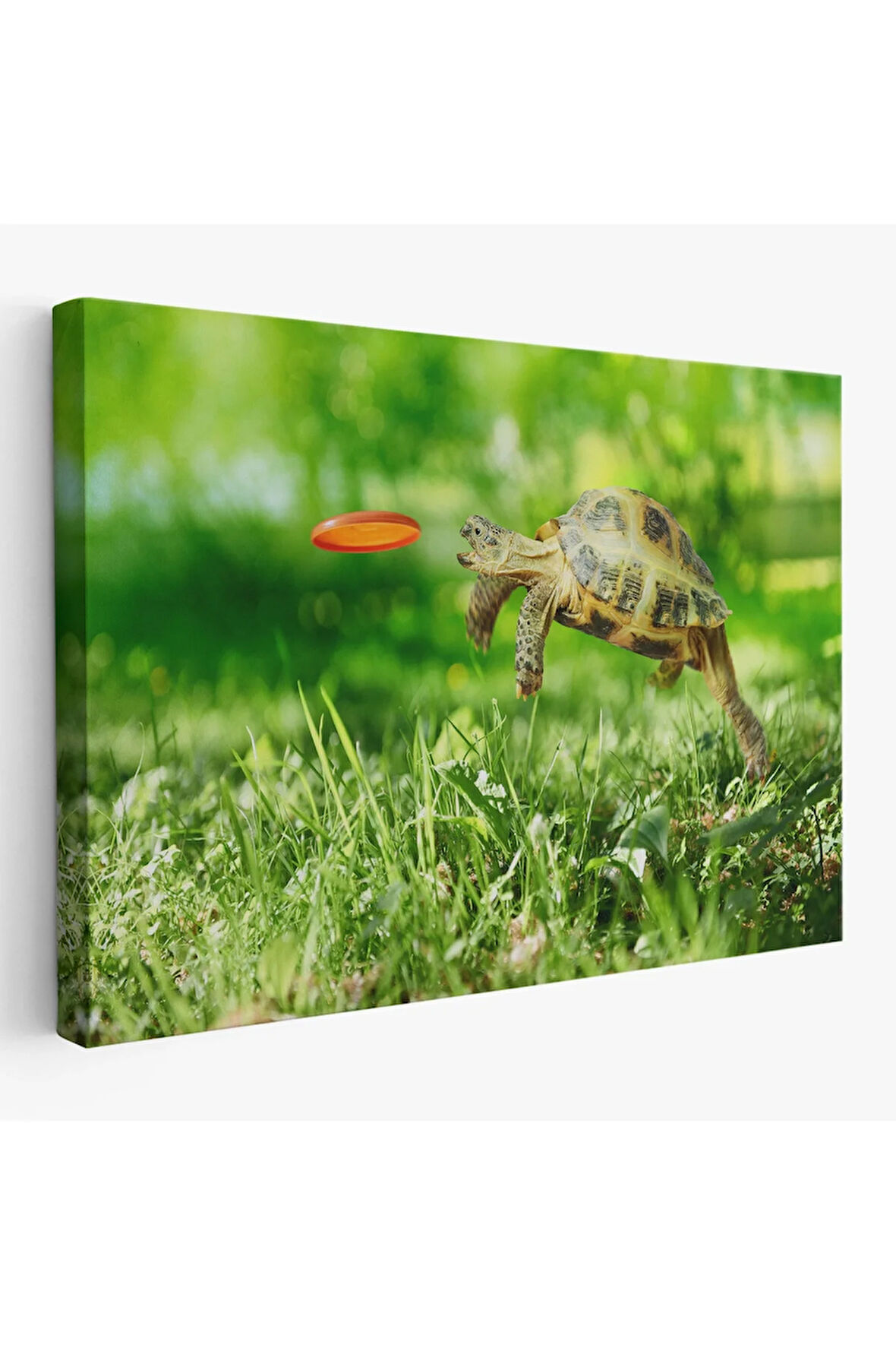 Uçan Kaplunbağa Dekoratif Kanvas Tablo 1122
