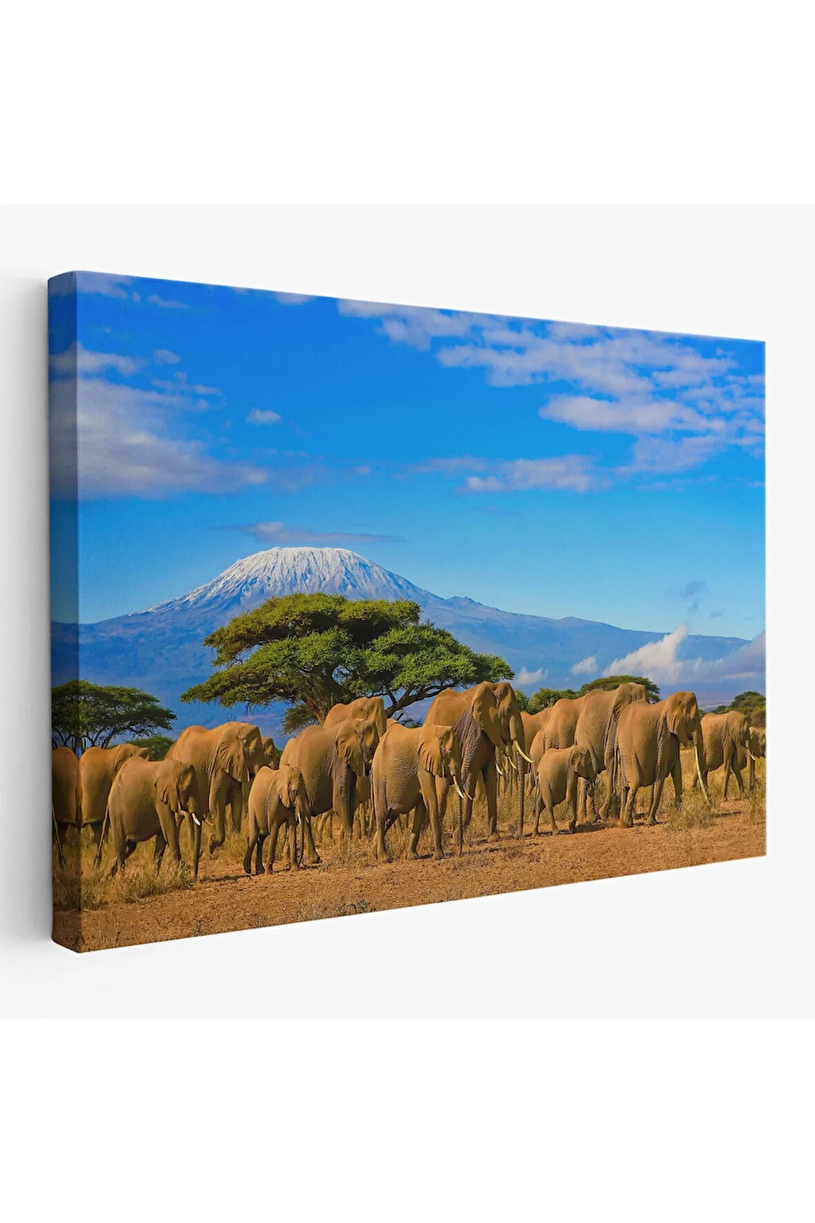Fil Sürüsü Dekoratif Kanvas Tablo 1143