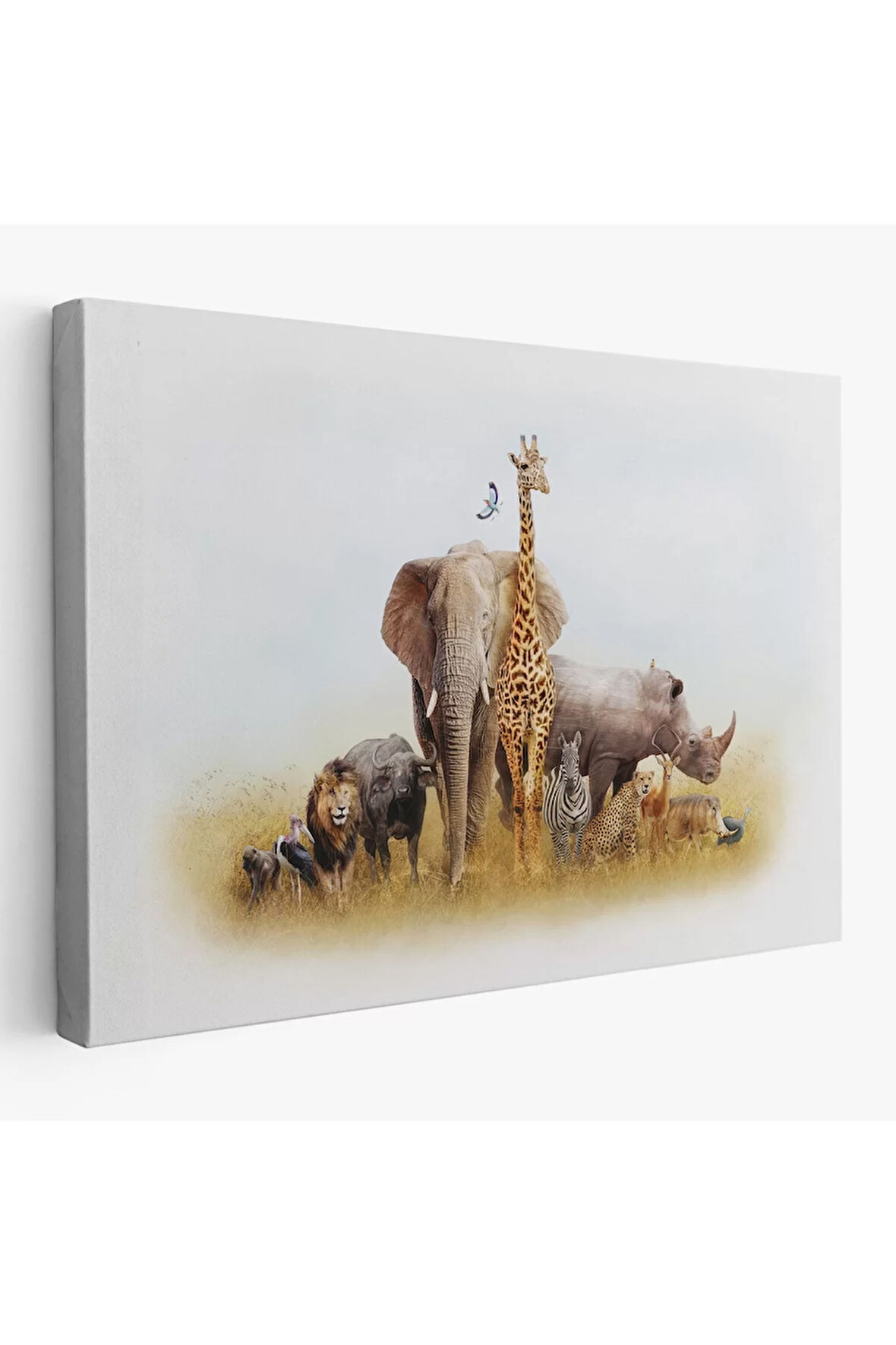 Hayvanlar Alemi Dekoratif Kanvas Tablo 1146