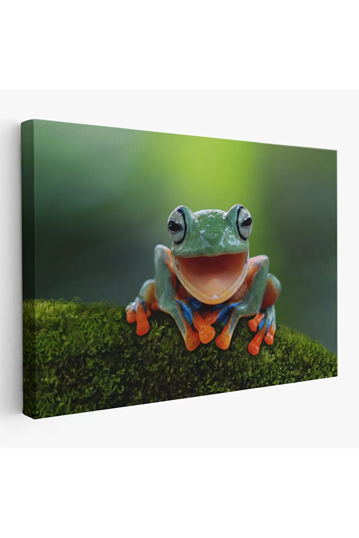 Renkli Gülen Kurbağa Dekoratif Kanvas Tablo 1149