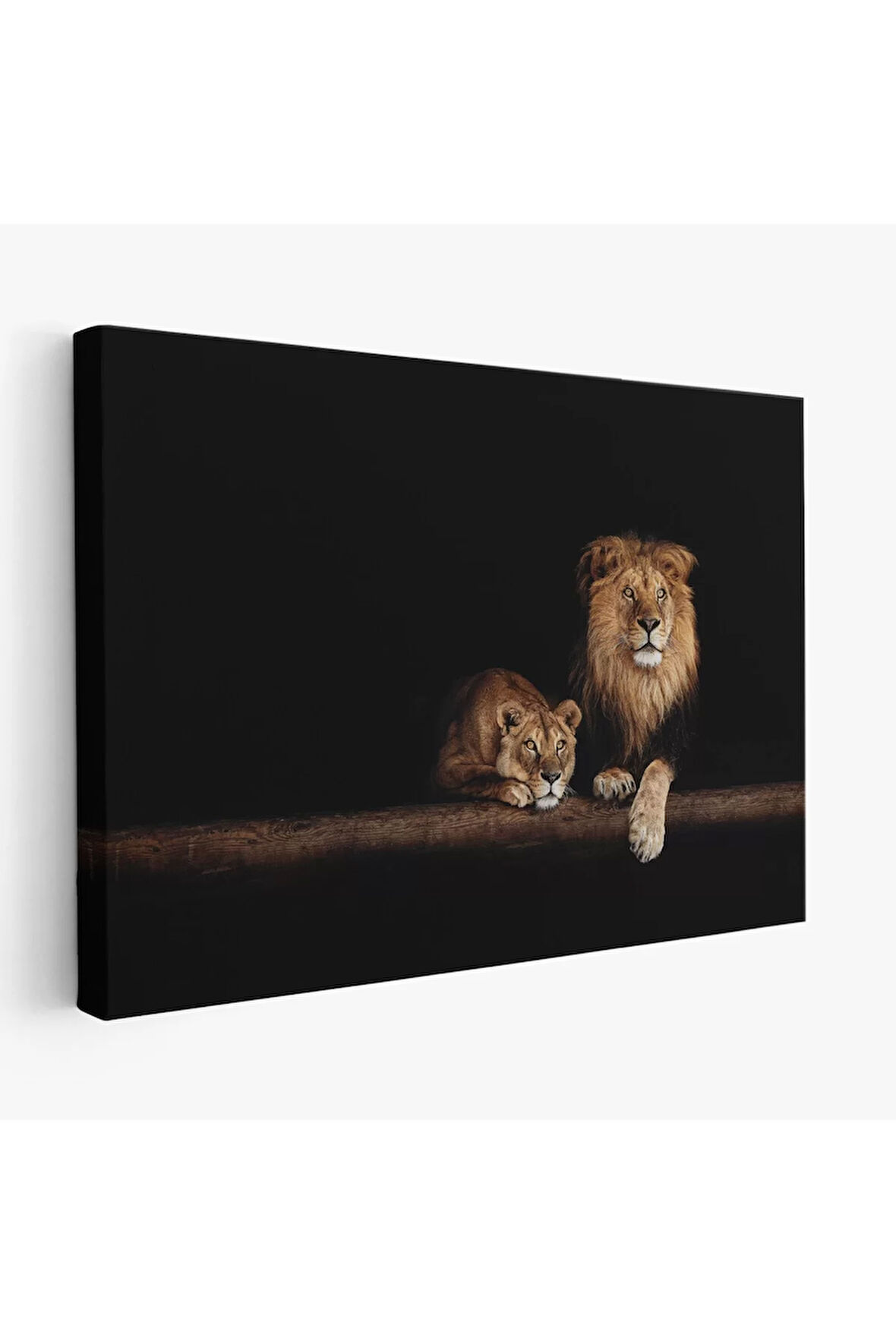 Aslanlar Dekoratif Kanvas Tablo 1151