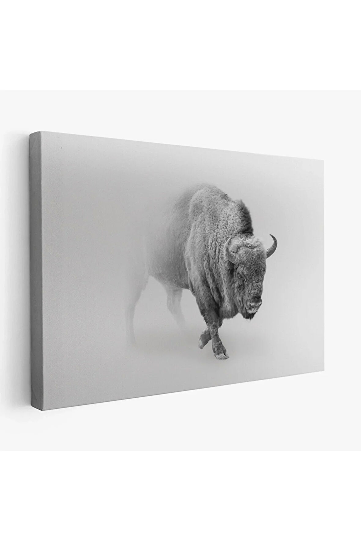 Bizon  Dekoratif Kanvas Tablo 1160