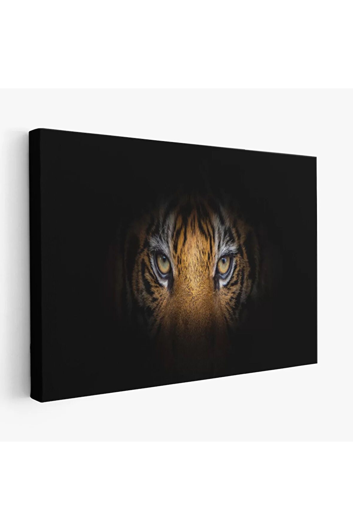 Kaplan Gözleri  Dekoratif Kanvas Tablo 1161