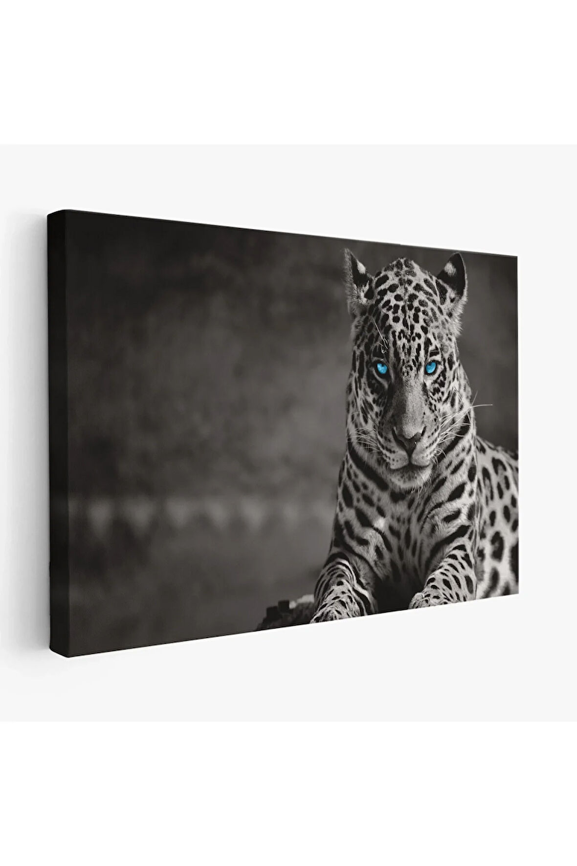 Mavi Gözlü Leopar Dekoratif Kanvas Tablo 1162