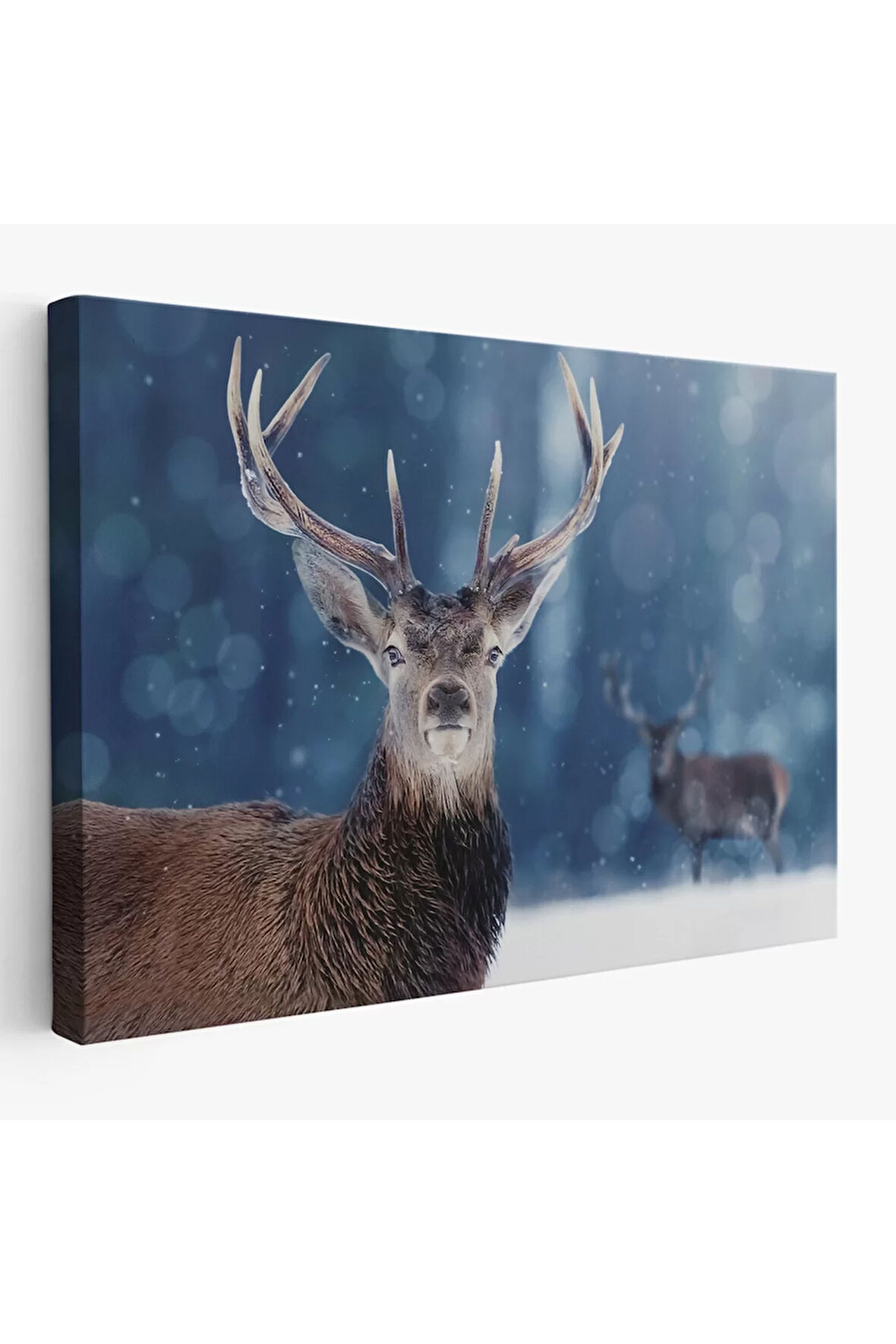 Geyik Dekoratif Kanvas Tablo 1168