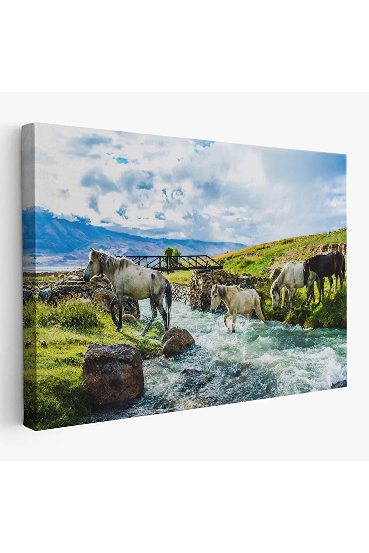 Dereden Geçen Atlar Manzaralı Dekoratif Kanvas Tablo 1169