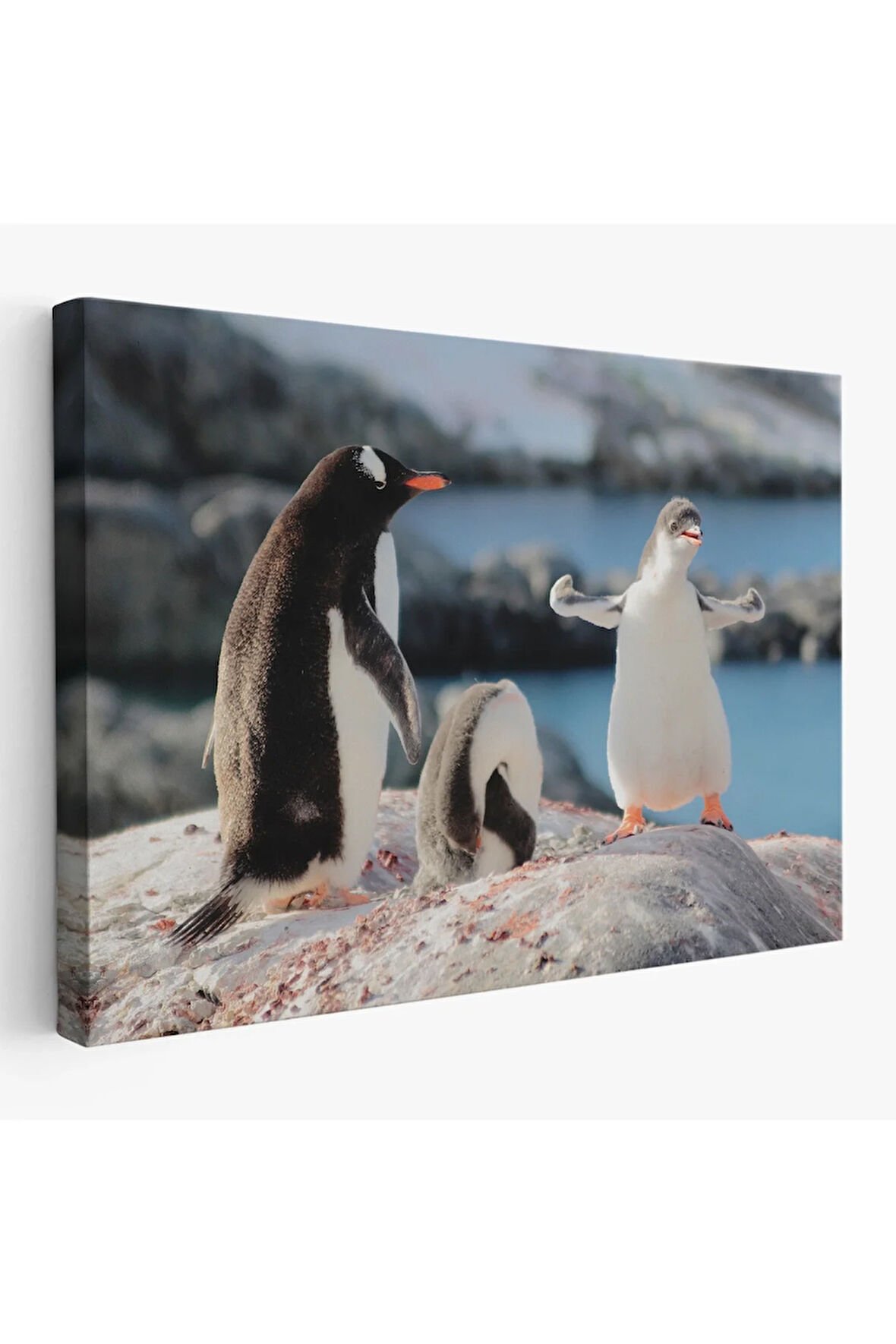 Mutlu Penguenler Dekoratif Kanvas Tablo 1172