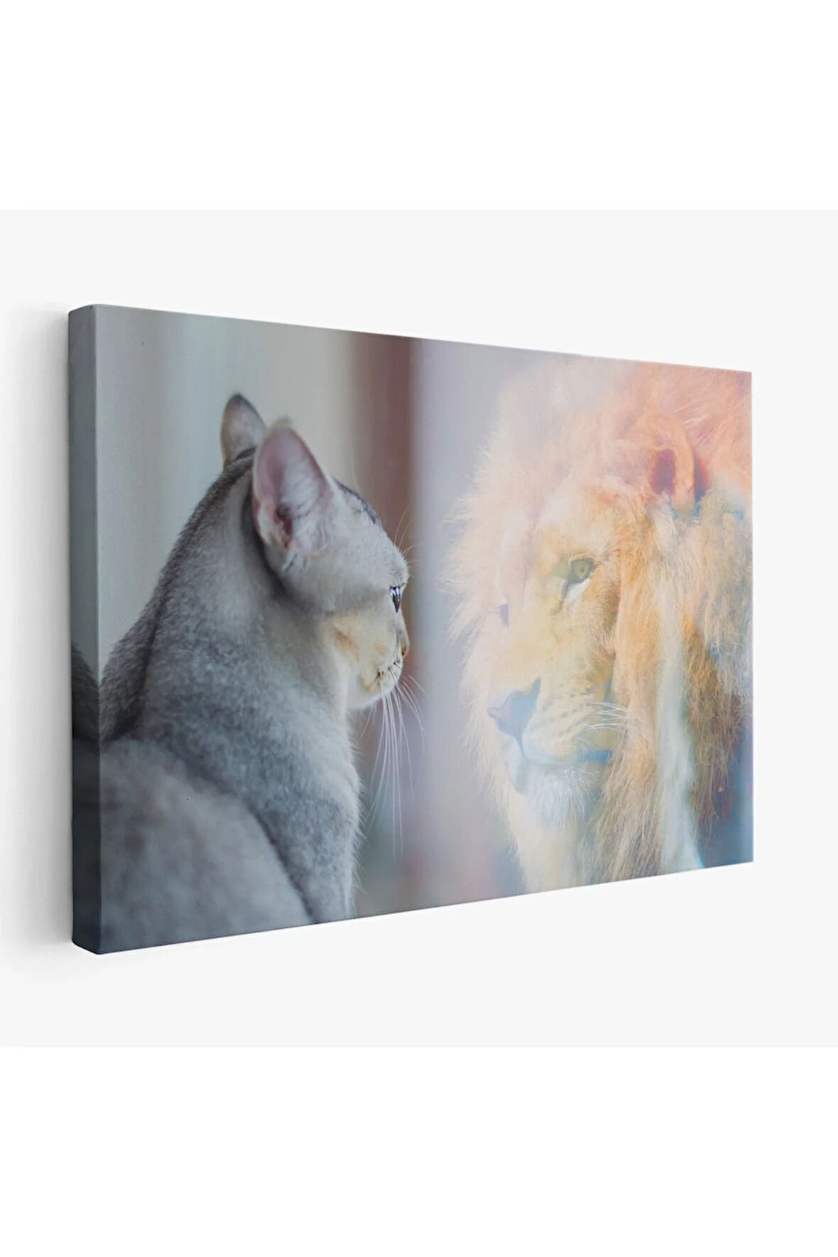 Kendini Aslan Gören Kedi Dekoratif Kanvas Tablo 1175