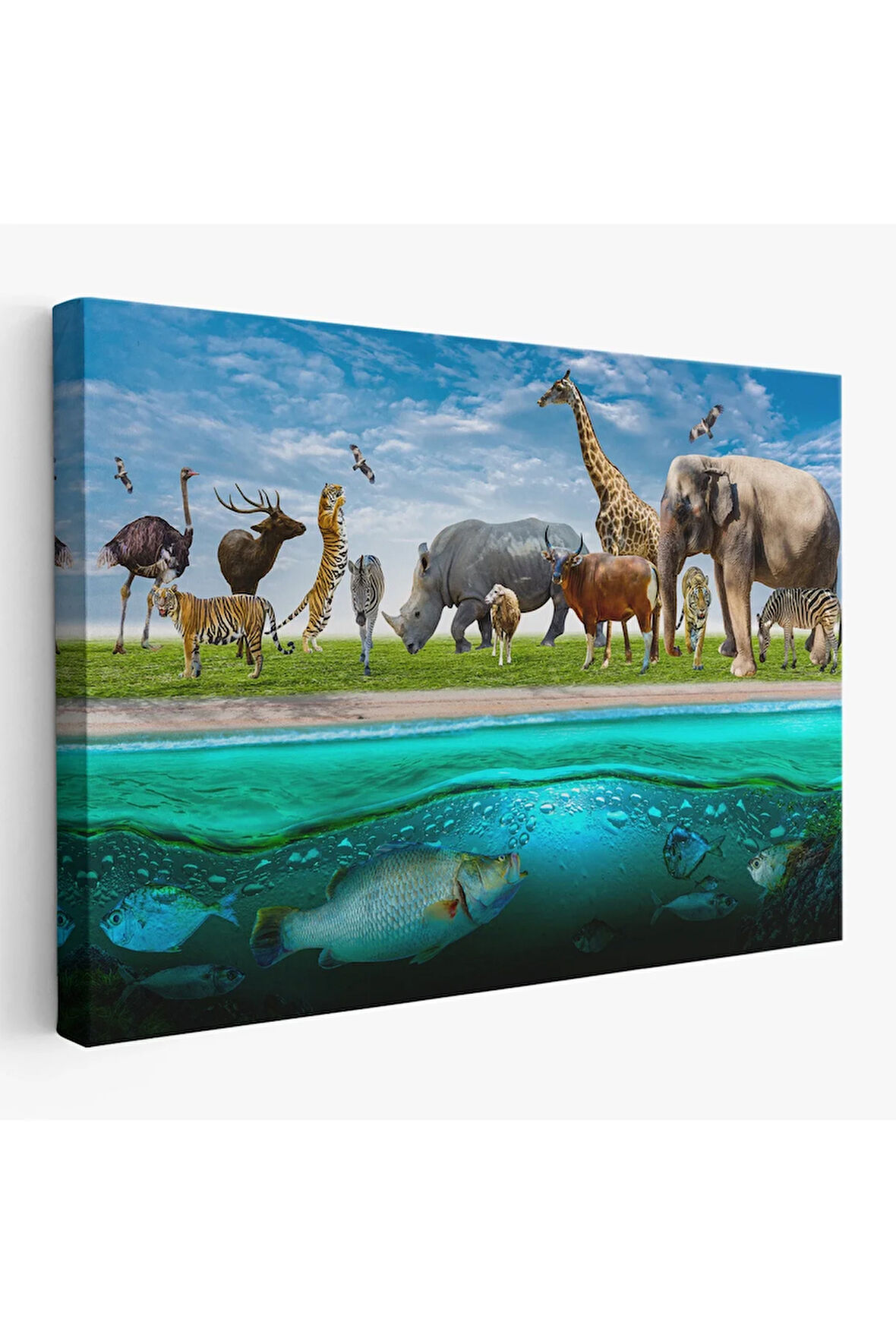 Hayvanlar Alemi Dekoratif Kanvas Tablo 1177