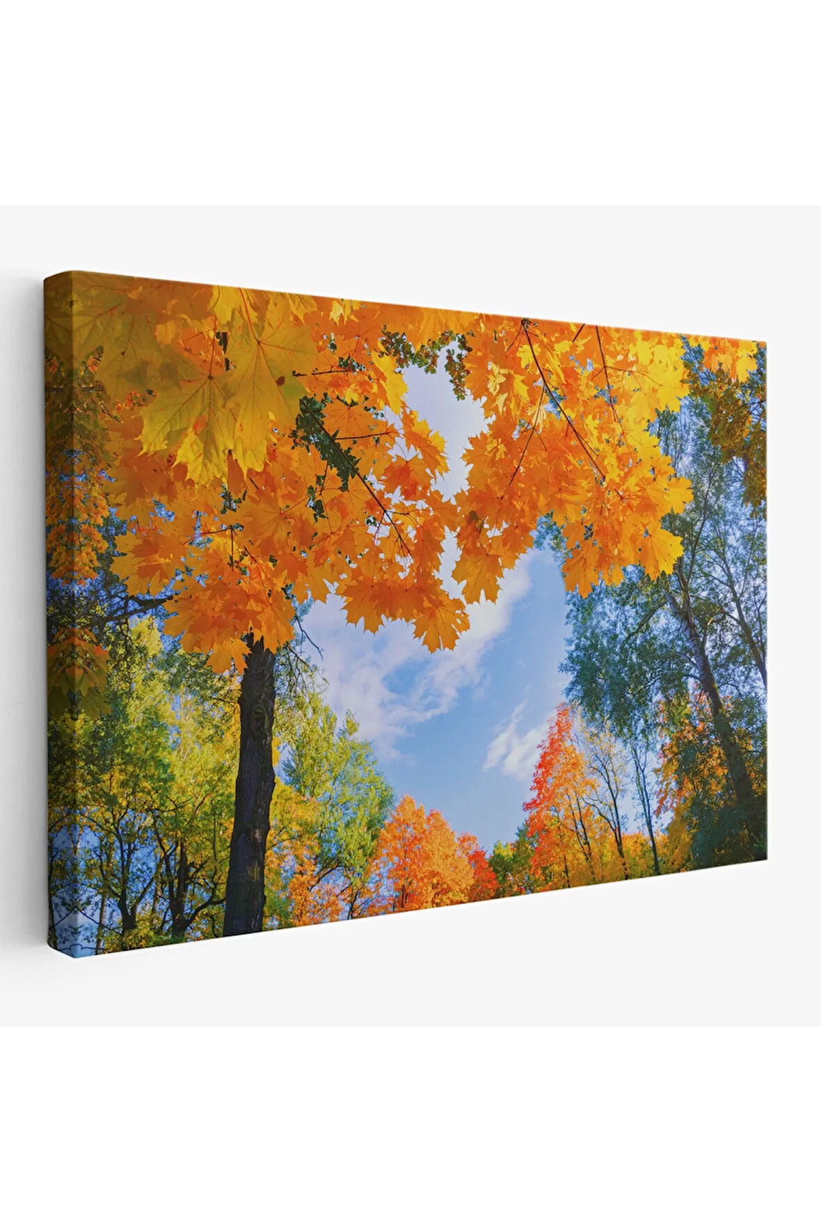 Sarı Yapraklı Sonbahar Manzarası Duvar Tablosu-1236