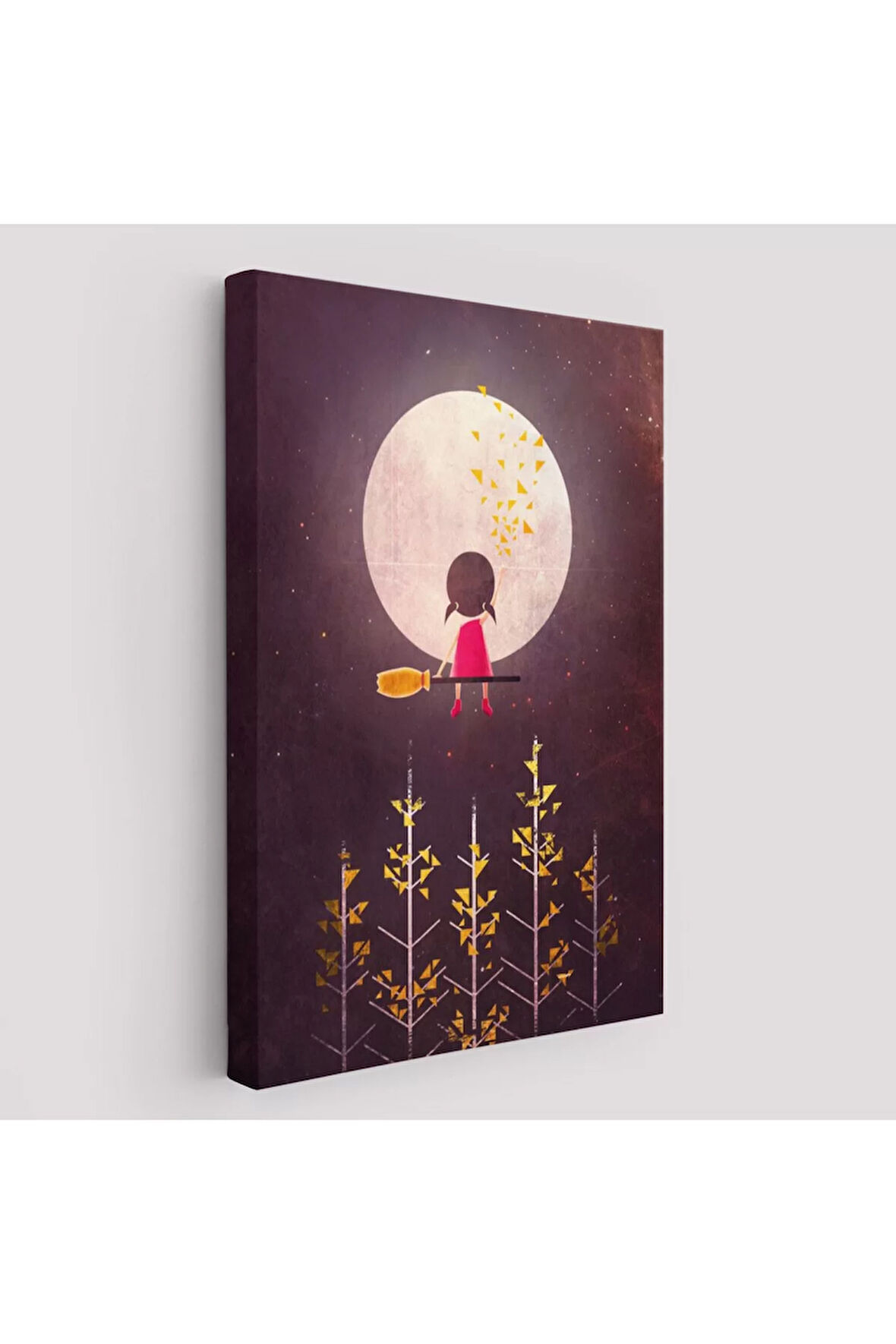 Küçük Bir Gece Gezgini Tablosu-6270