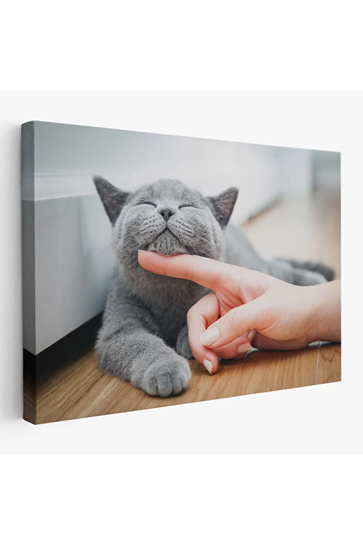 Sevimli Kedi Dekoratif Kanvas Tablo-6505