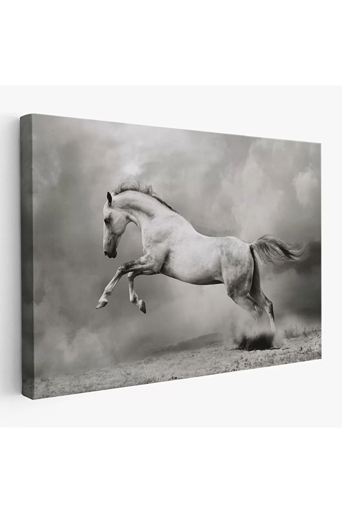 Çöldeki  Beyaz At Tablosu-6598