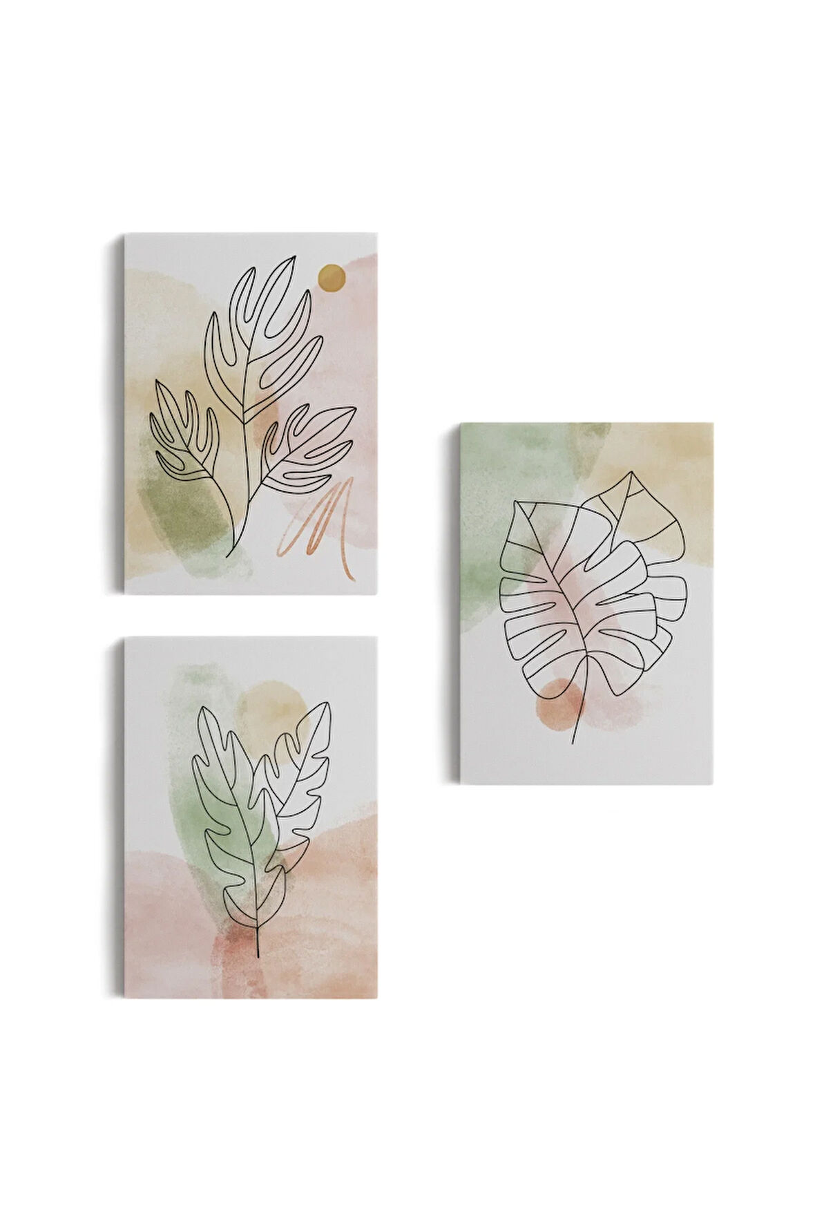 3’lü Tablo Suluboya Bitki Şekilleri Dekoratif Şık Ve Modern Duvar Tablo Seti-bd-29