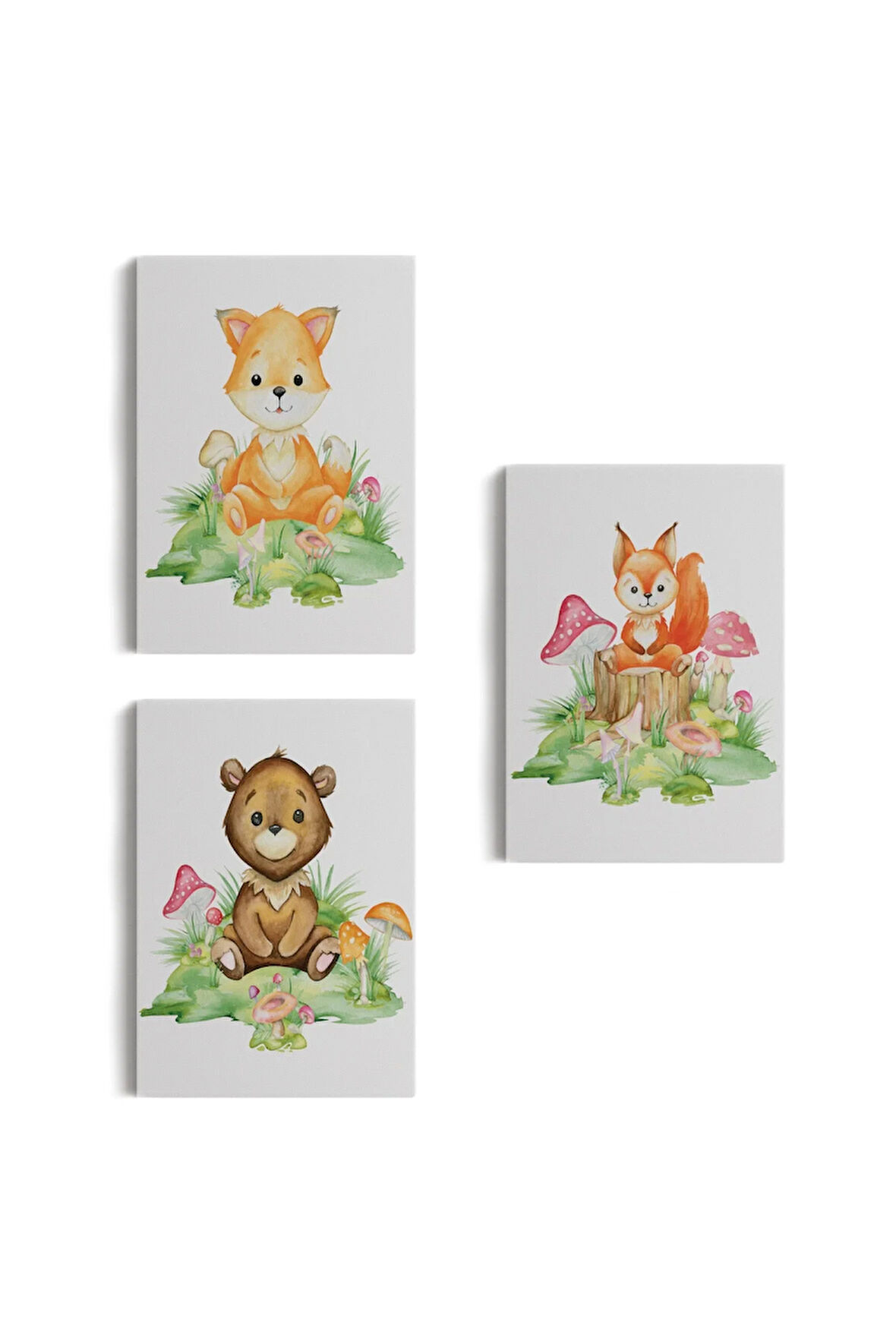 3’lü Tablo Sevimli Hayvanlar Temalı Dekoratif Şık Ve Modern Duvar Tablo Seti-bh-33