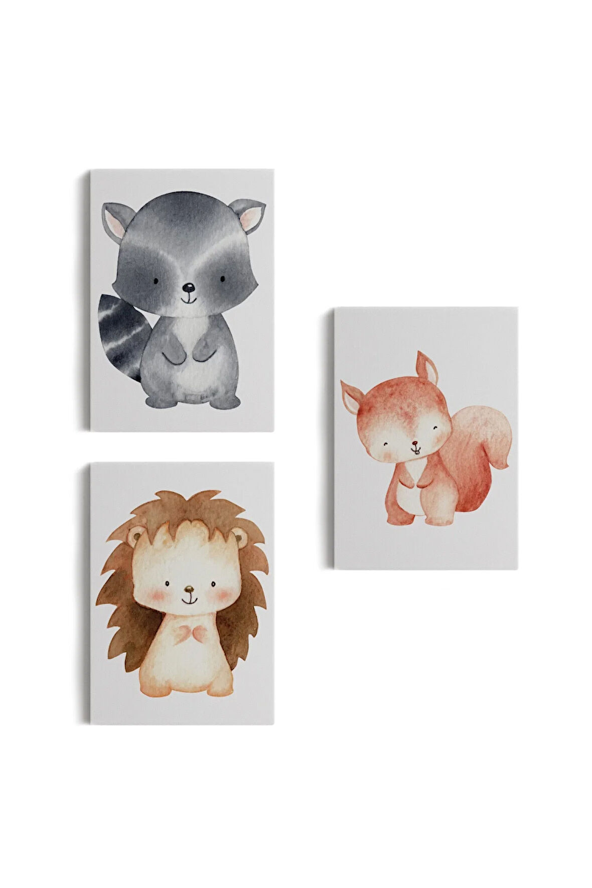 3’lü Tablo Sevimli Üç Hayvan Koleksiyonu Dekoratif Duvar Tablo Seti-cd-54