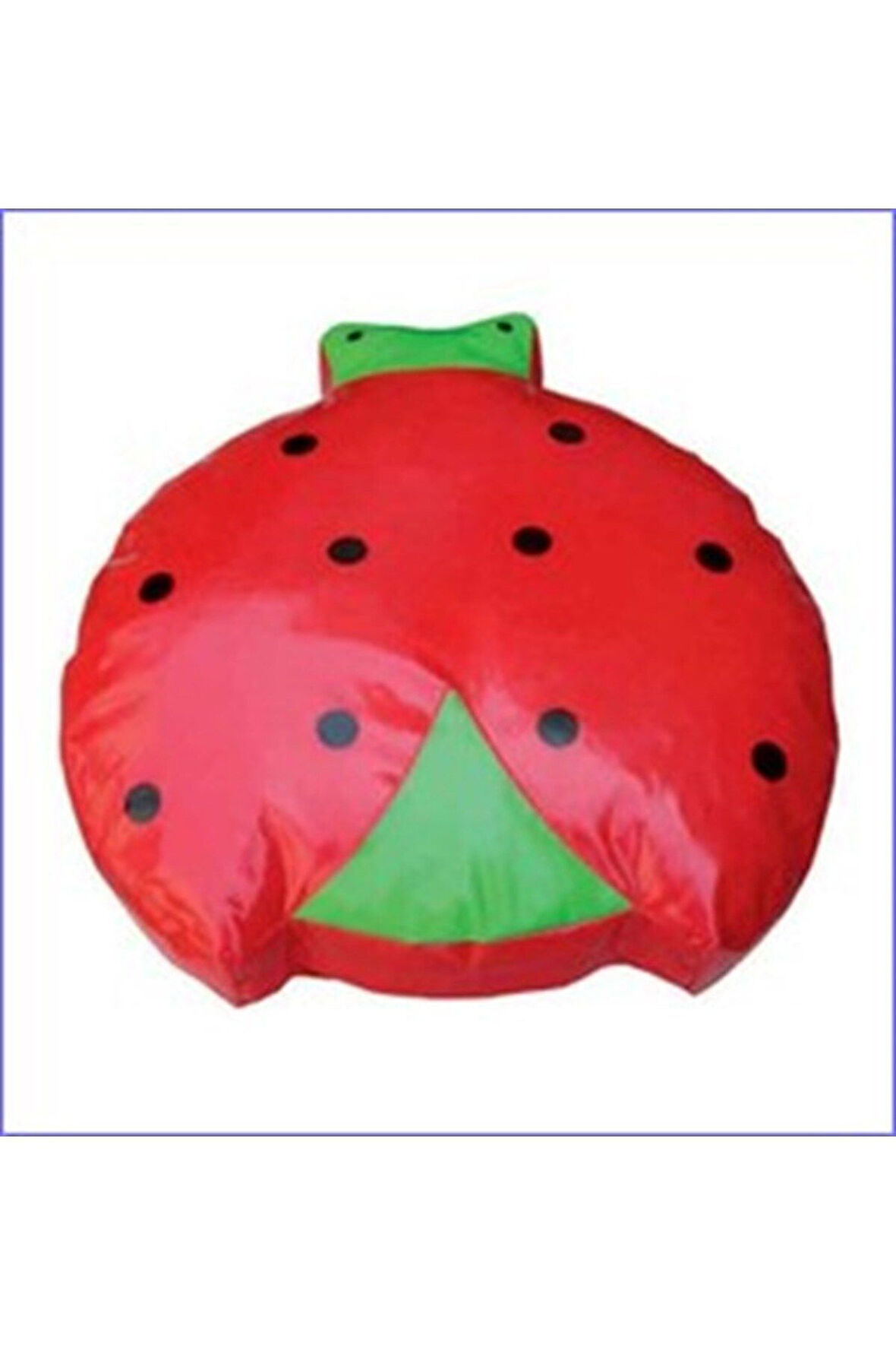 Sünger Uğur Böceği Oturma Minderi Adet