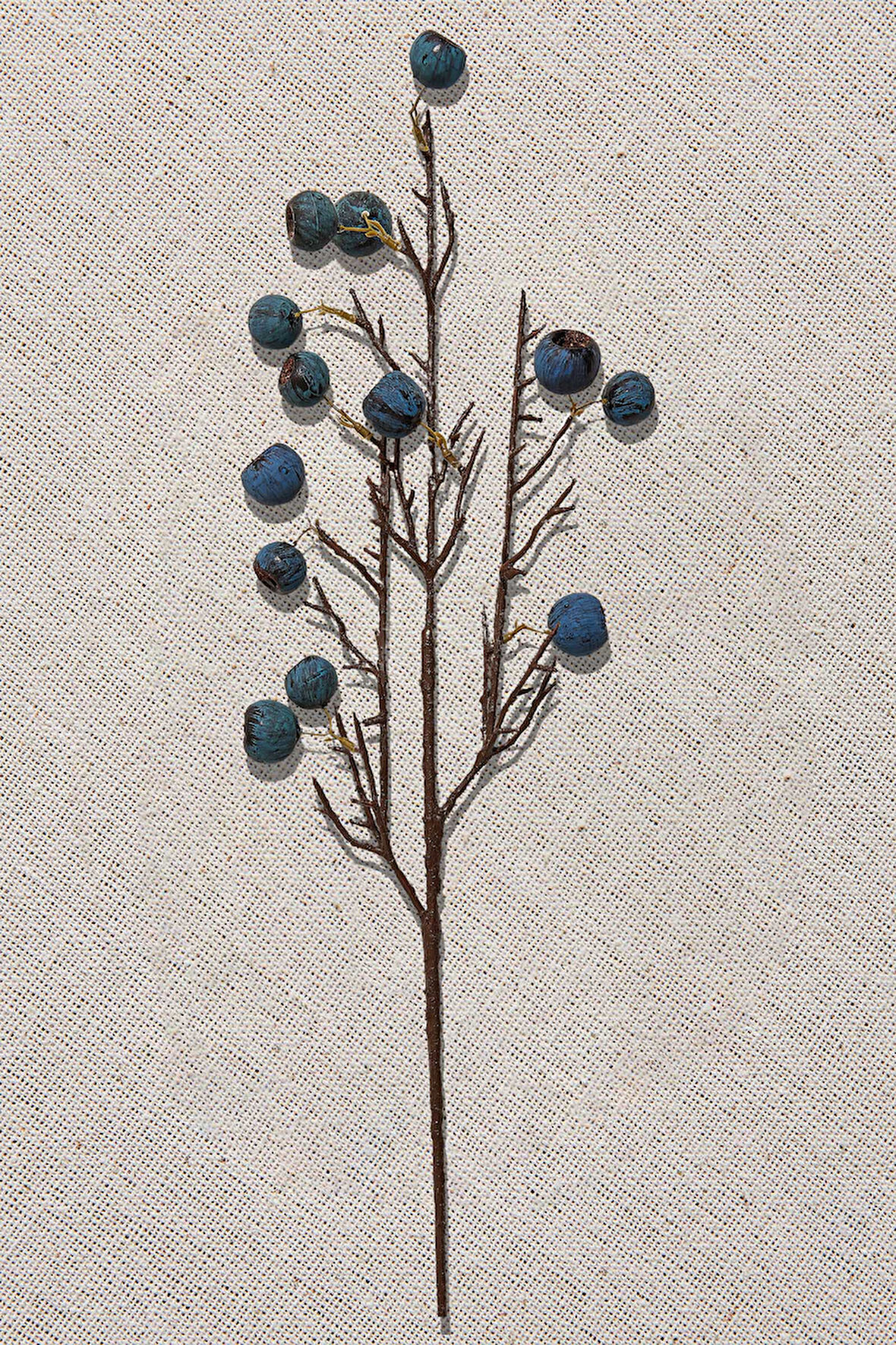 Fruit 68 cm Mavi