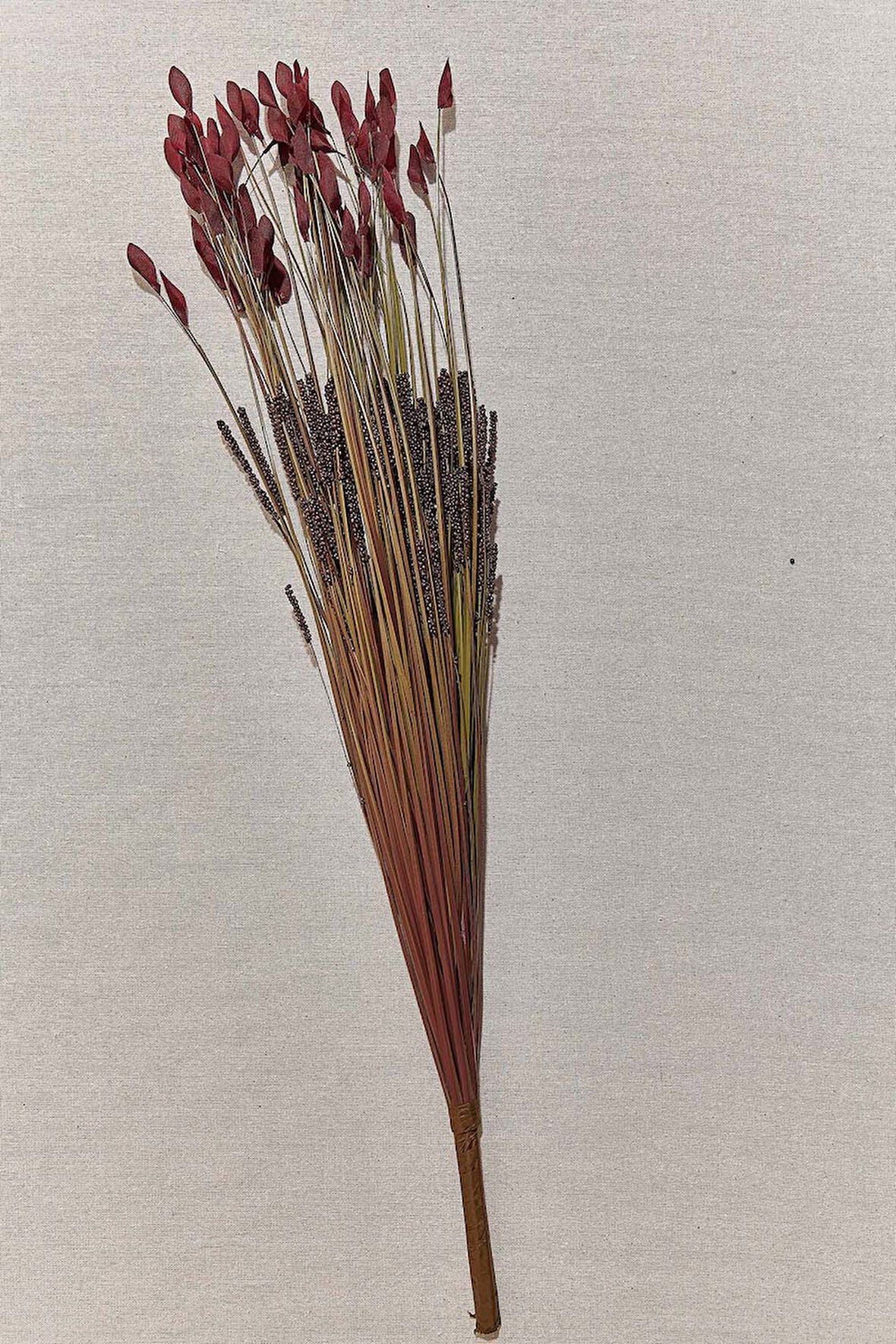 Grass 75 cm Kırmızı