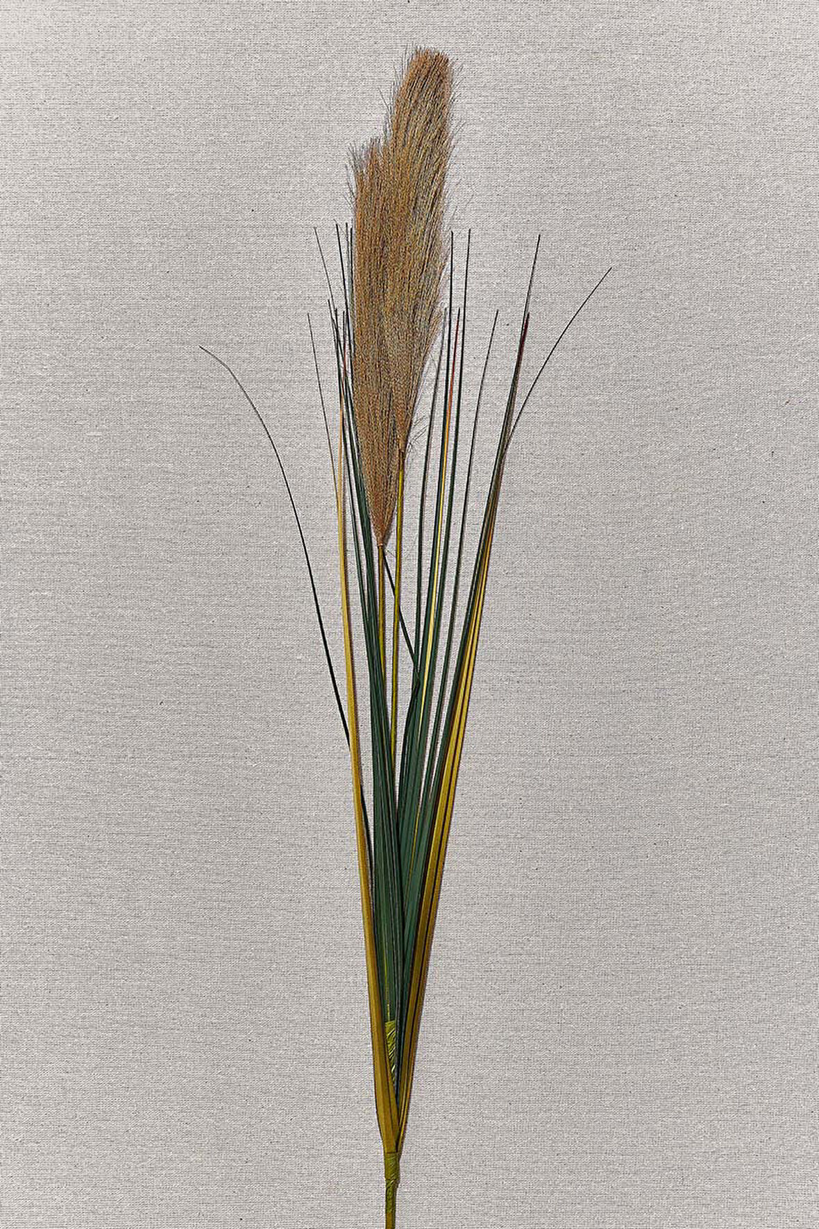 Grass 92 cm Kahverengi