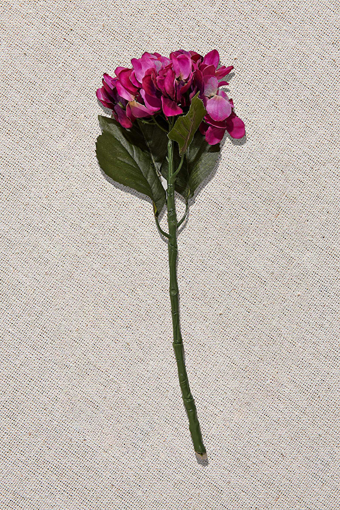 Ortanca 50 cm Mor