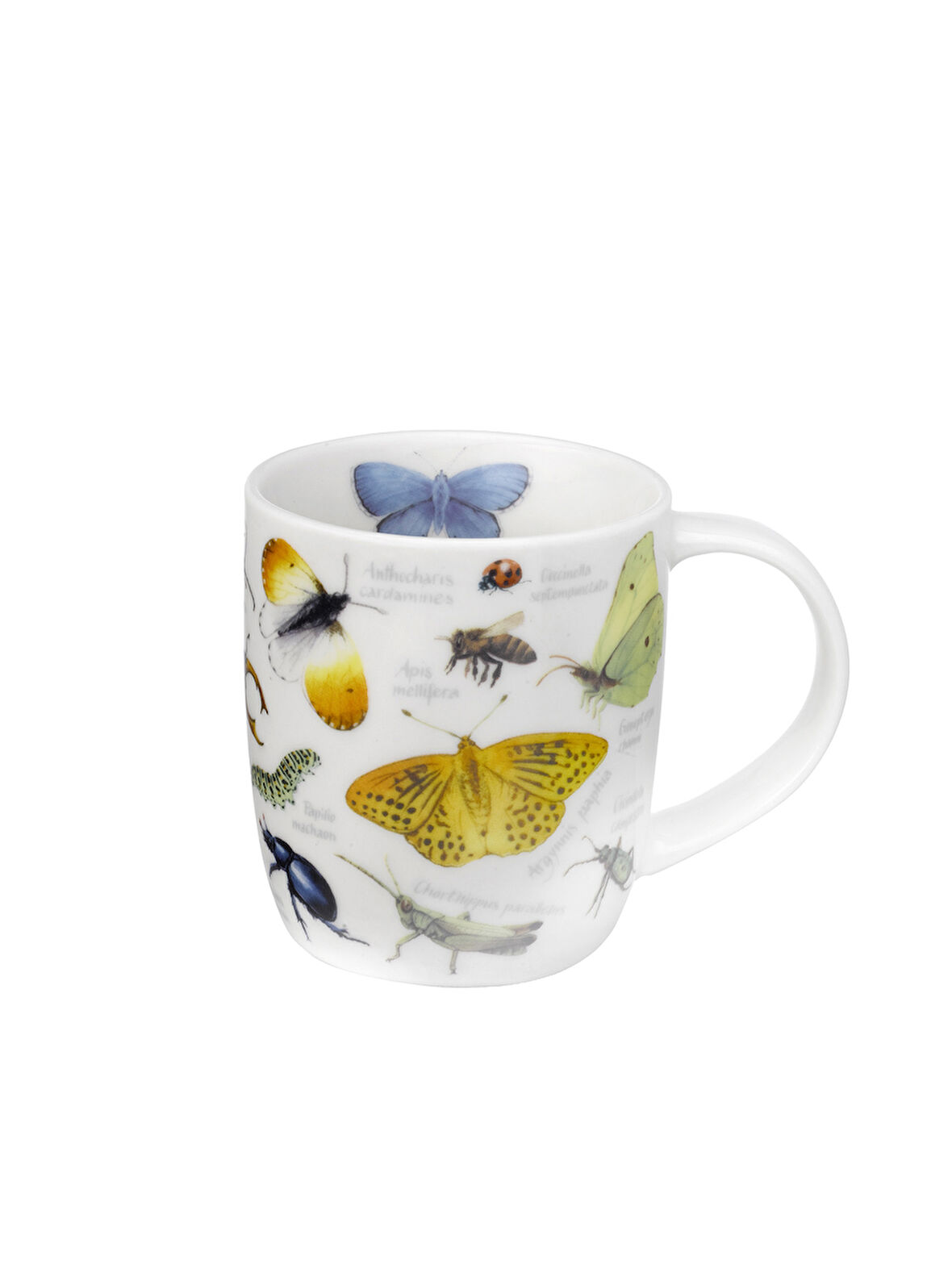 Nature Animal Porselen Kupa