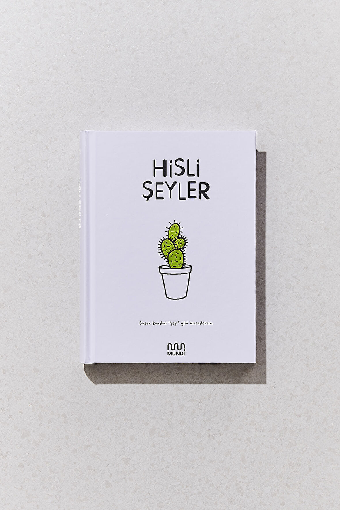 Hisli Şeyler