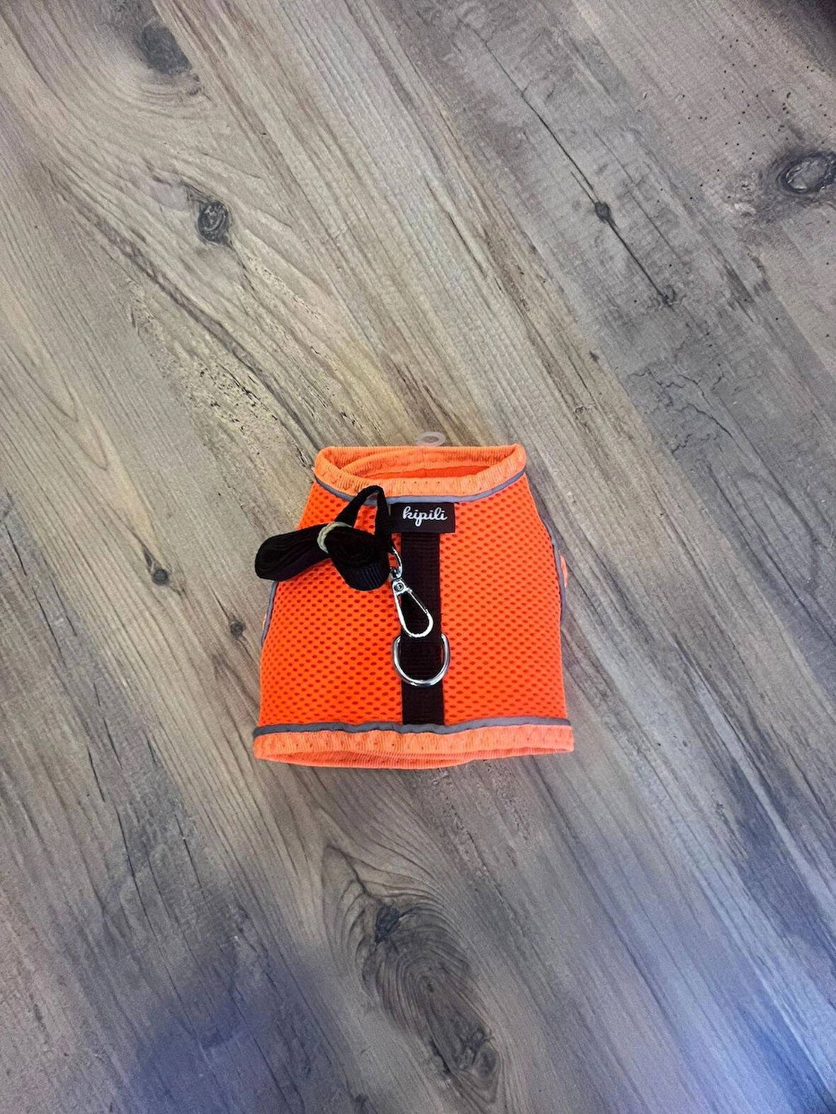 Turuncu köpek göğüs tasması