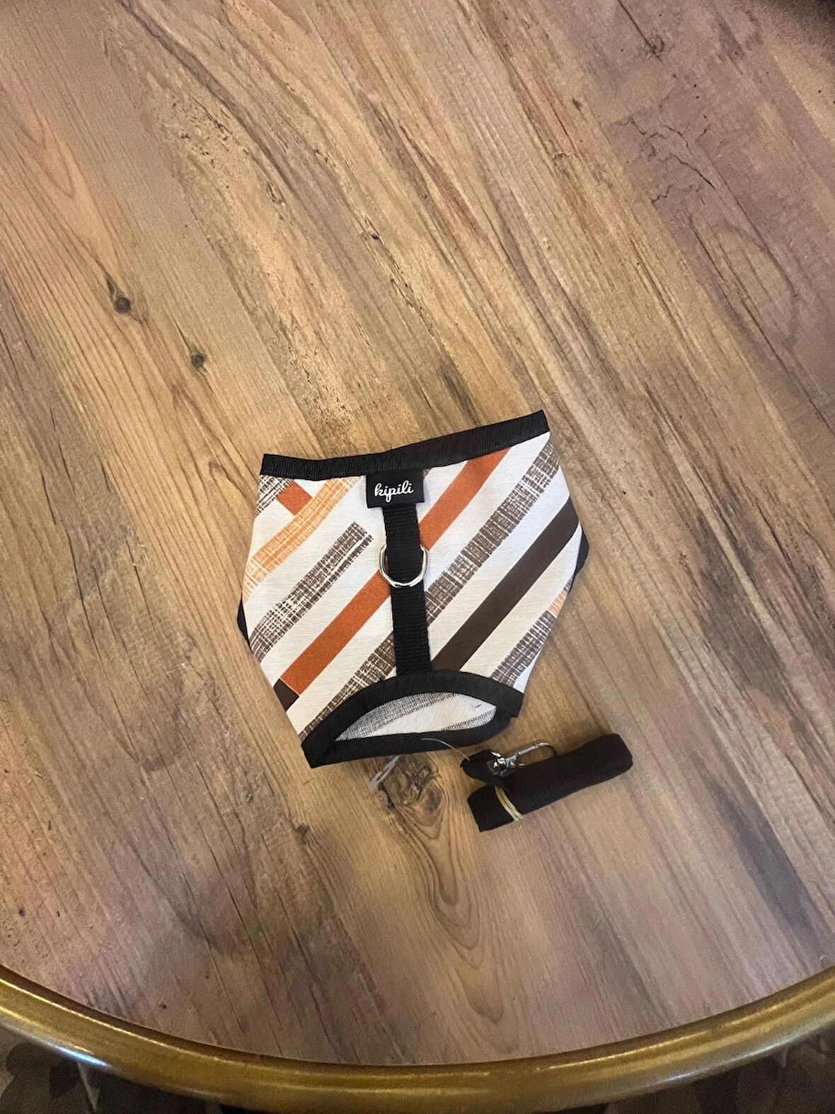 Desenli köpek göğüs tasması