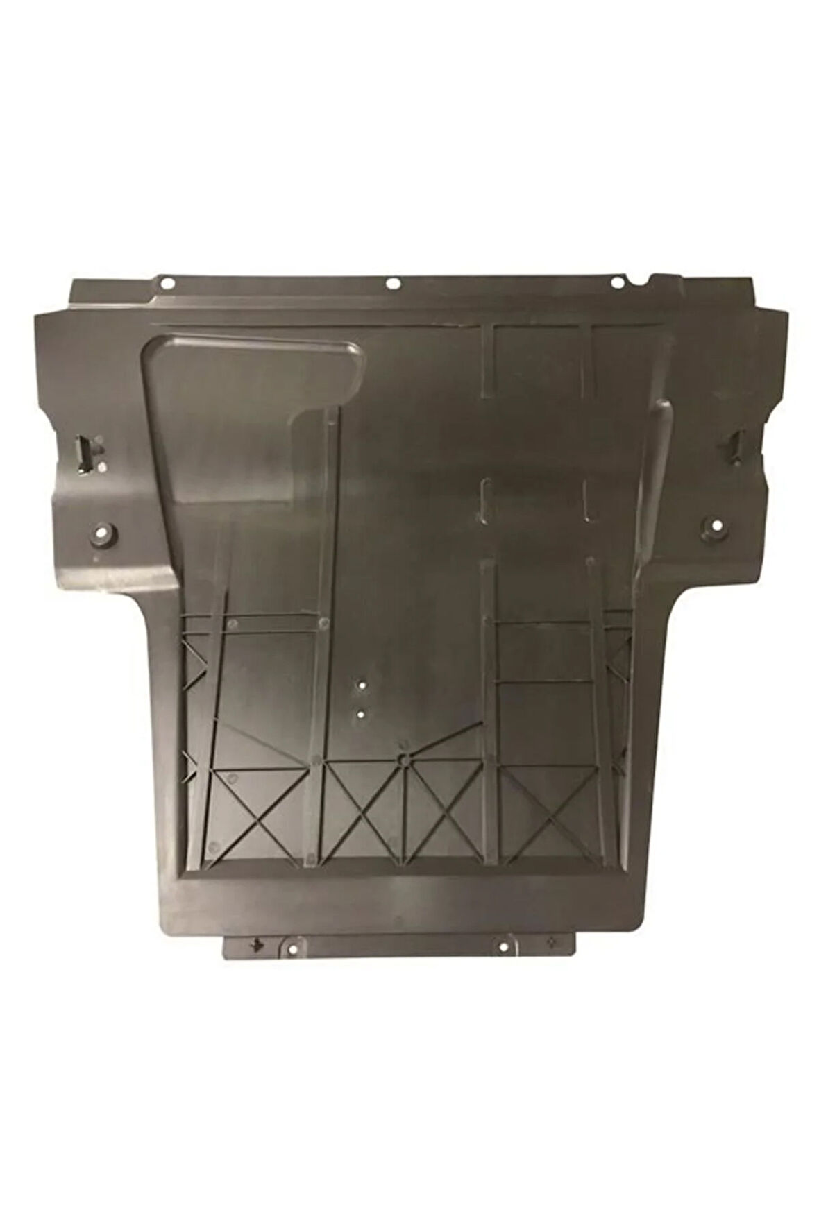 Karter Muhafazası Mgn Iı Spl937 8200563695