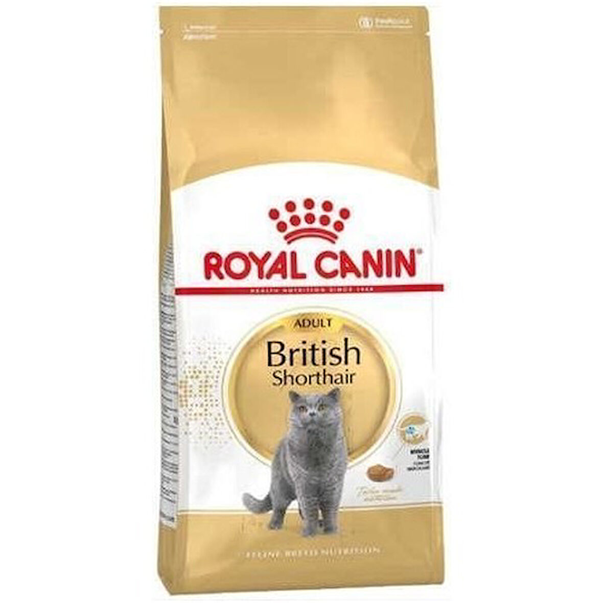 Royal Canin British Shorthair Yetişkin Kedi Maması 2 kg X 2 Adet