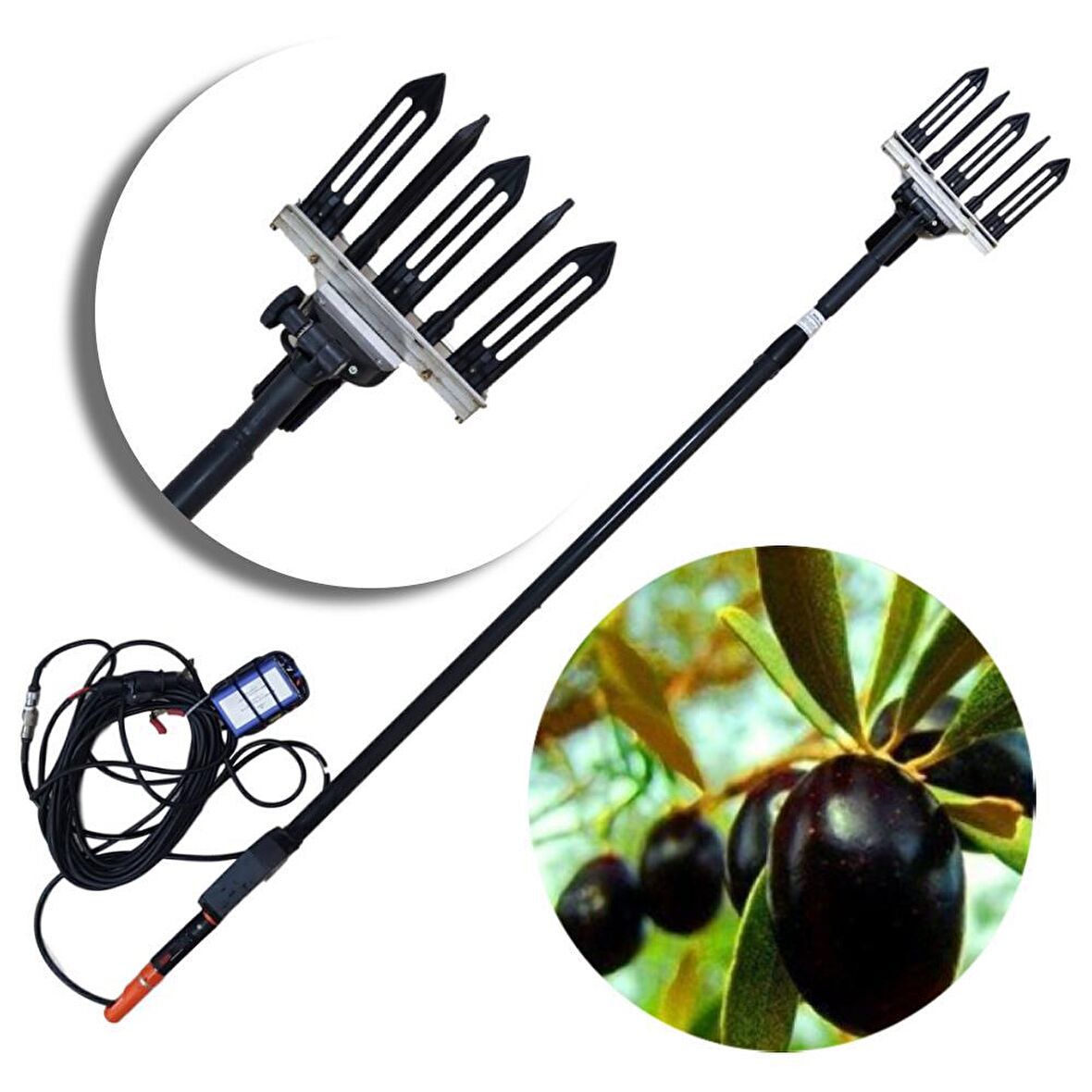 Coima İtalyan Zeytin Hasat Makinesi