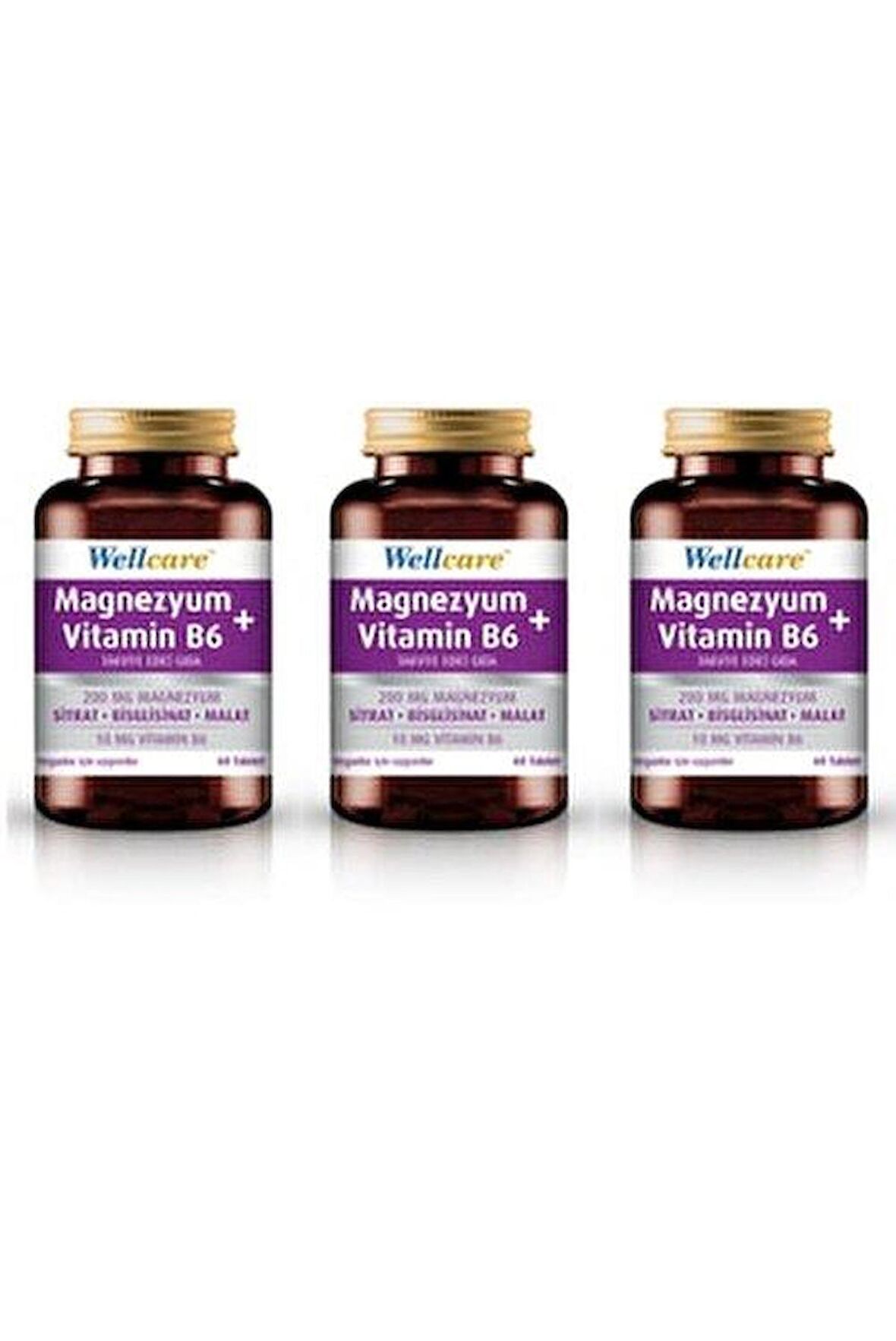 Wellcare Magnezyum + Vitamin B6 60 Tablet 3 Kutu 