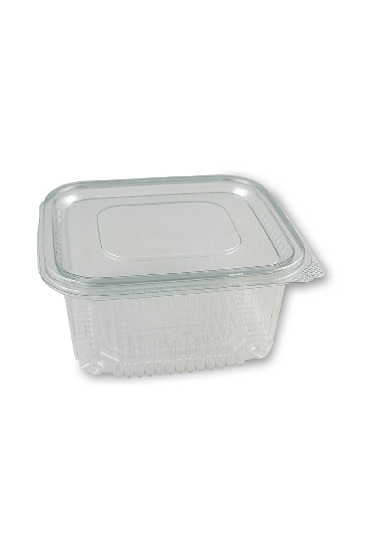 plastik sızdırmaz kap 500 gr cc kullan at tek kullanımlık plastik kapaklı kase