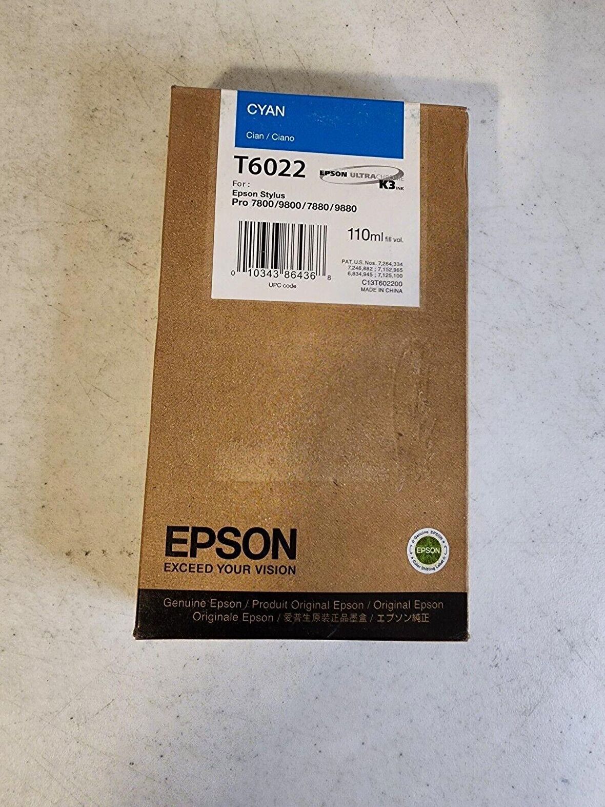 Epson T6022 C13T602200 Mavi Kartuş