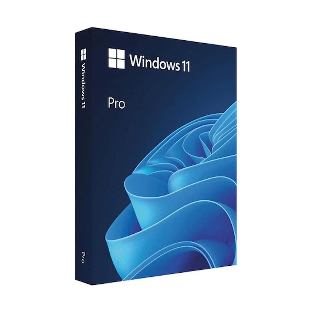 windows 11 proTürkçe usb 64 bit hav-00159