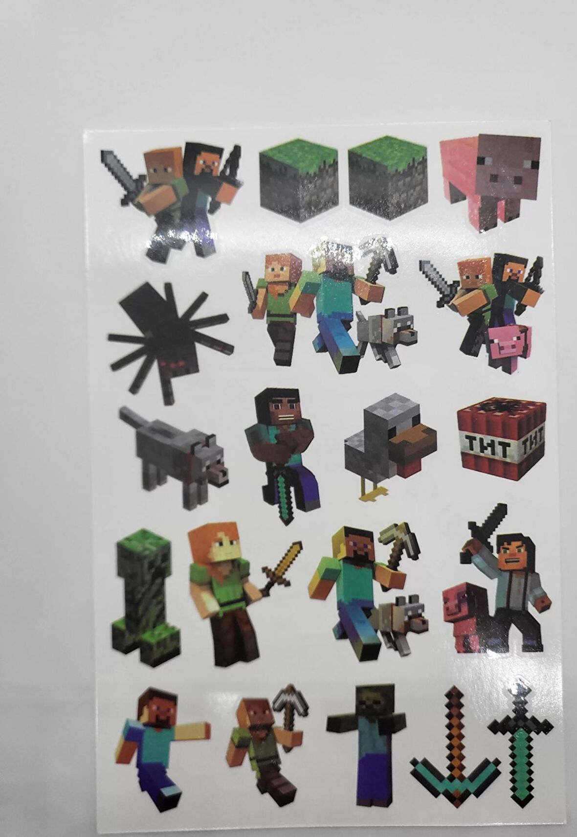 Minecraft Alex, Blaze, Ender Dragon, Enderman, Steve Geçici Dövme