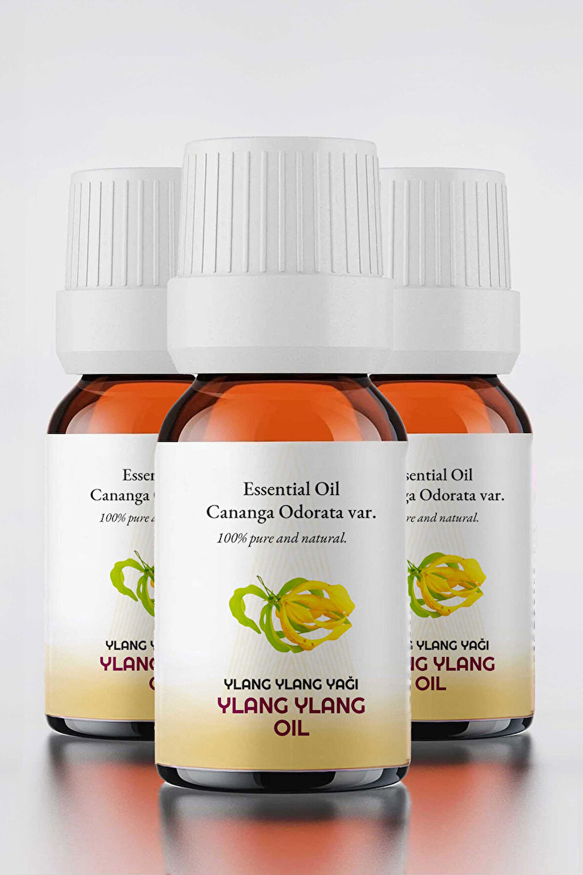 PROCLİS 3 Adet  Ylang Ylang Yağı 10 ml