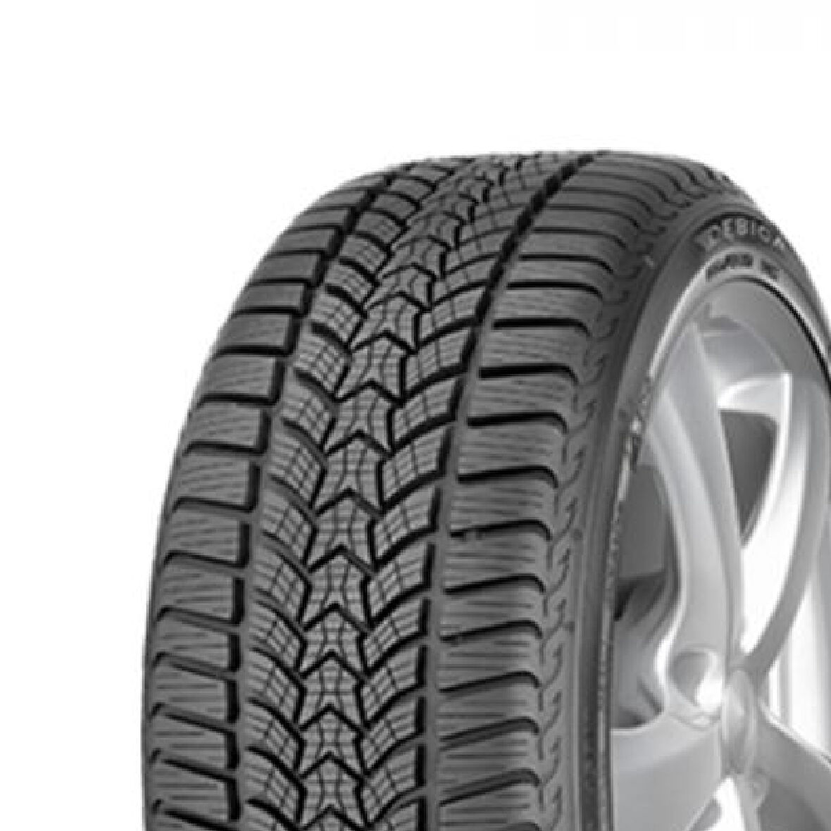 245/45 R18 100V XL FRIGO HP 2  FP Oto Kış Lastiği (Üretim Yılı: 2023)