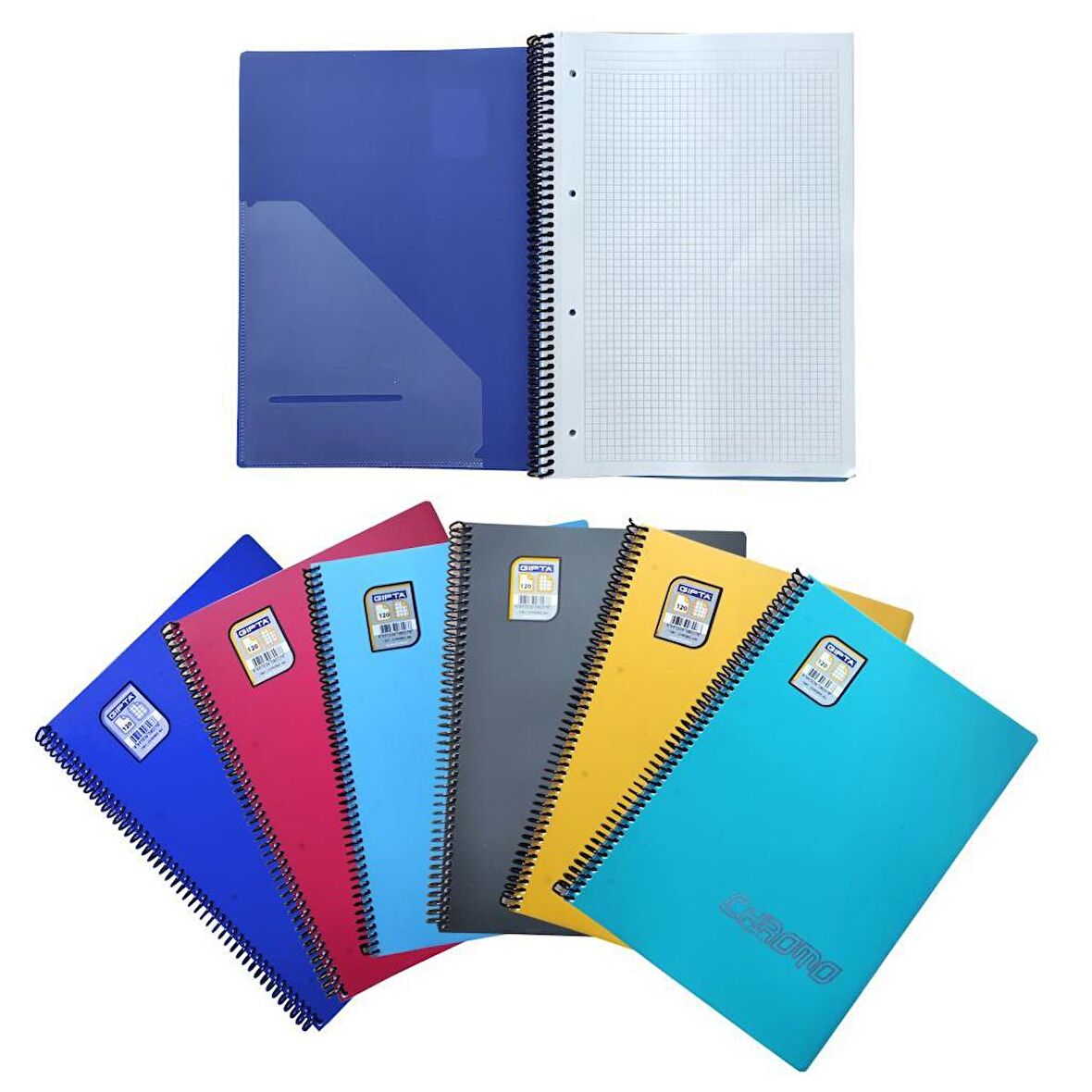 Gıpta Chromo 60 Yp. A4 Spiralli Pp. Kapak Defter Kareli 6'lı