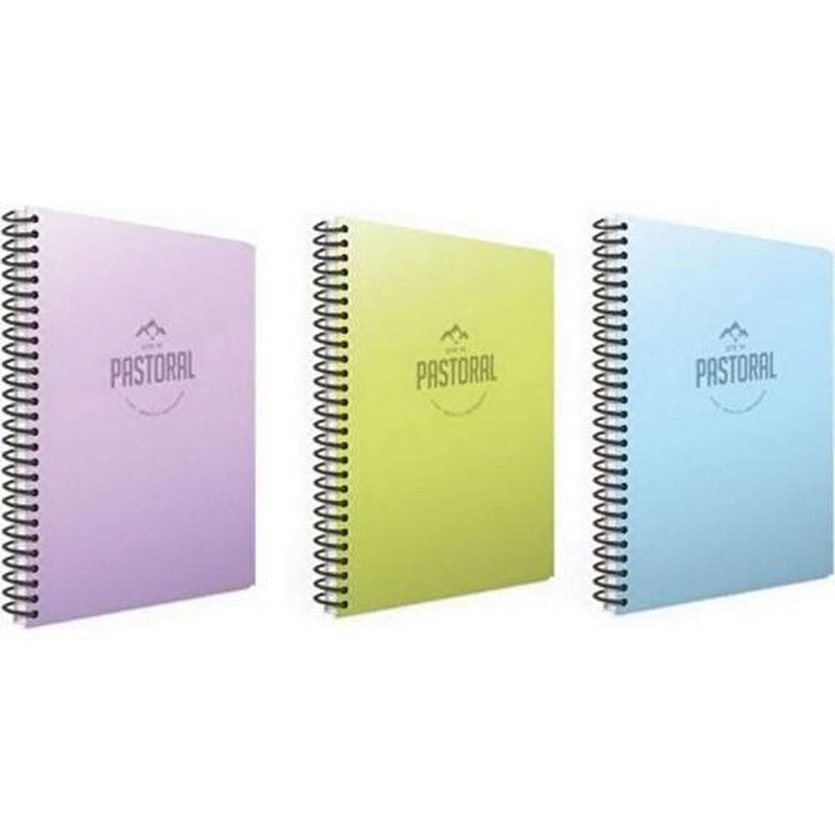 Gıpta Pastoral 17x24 96 Yaprak Plastik Kapak Spiralli Defter 2 Kareli + 1 Çizgili