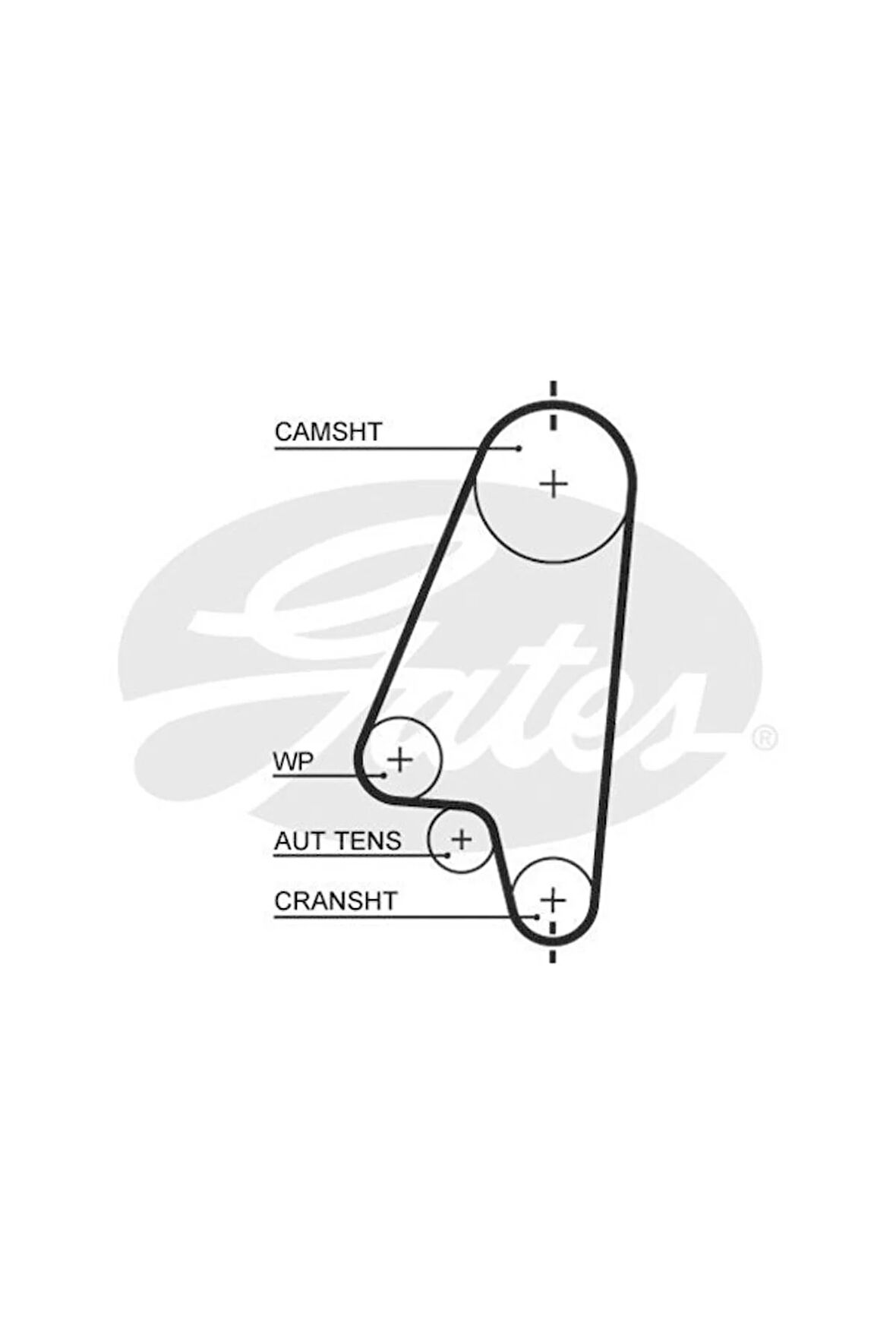 Triger Kayışı 111×170 111 Diş Astra F-corsa B 1.4 Gd111h9.5p170 Ct874gat-5310xs 5310xs 5636560