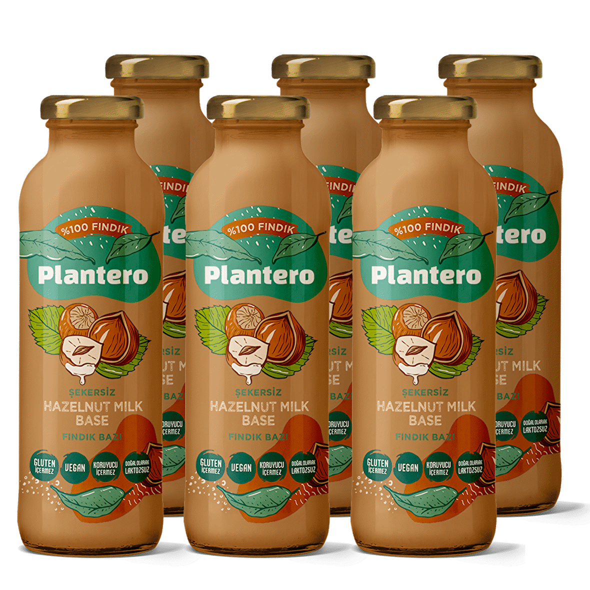 PLANTERO 6'lı Fındık Bazı Kosantre Seti 250 gr x 6