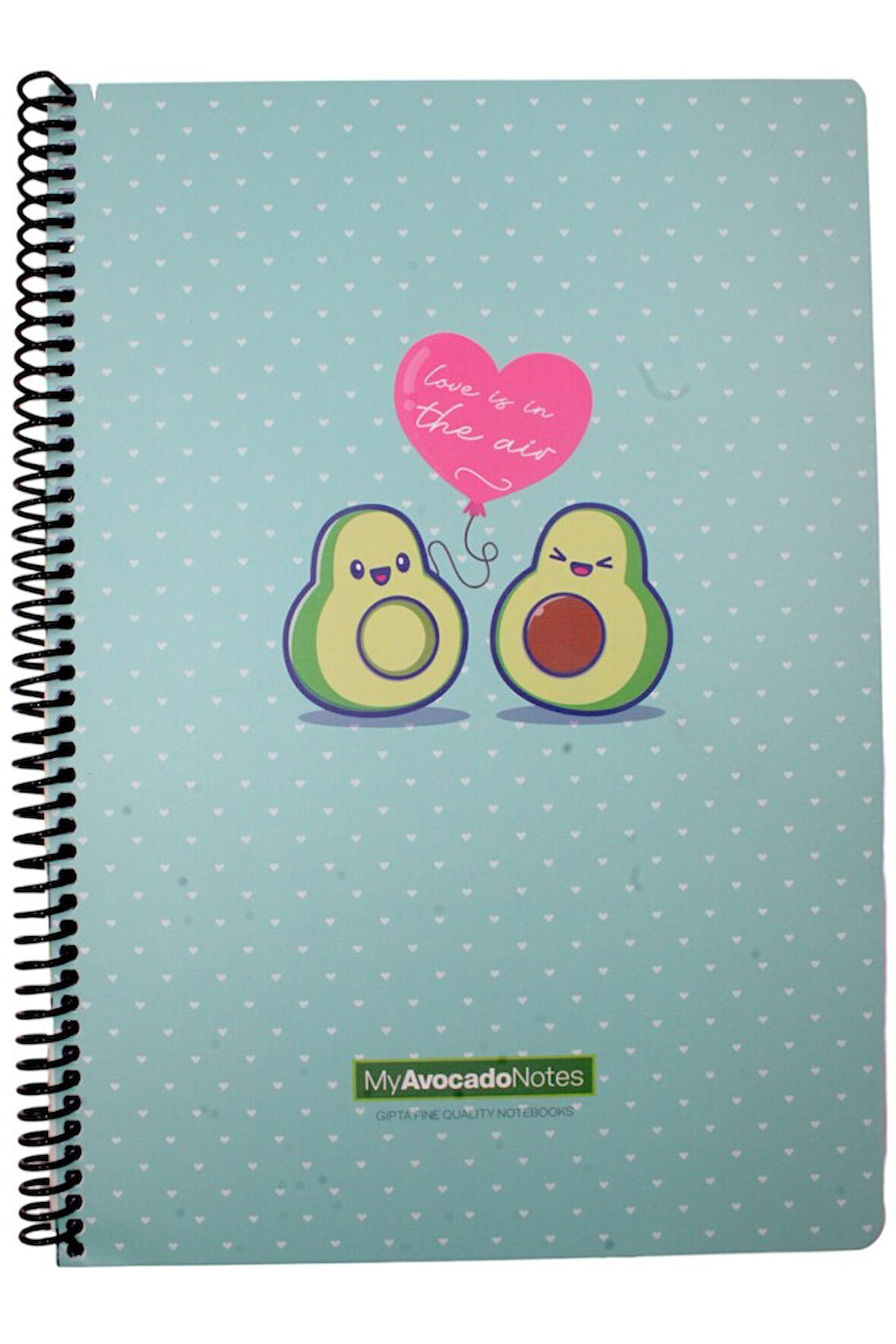 Gıpta A4 Avocado 80 Yaprak Çizgili Spiralli Karton Kapak Defter Love İs İn The Air 5819